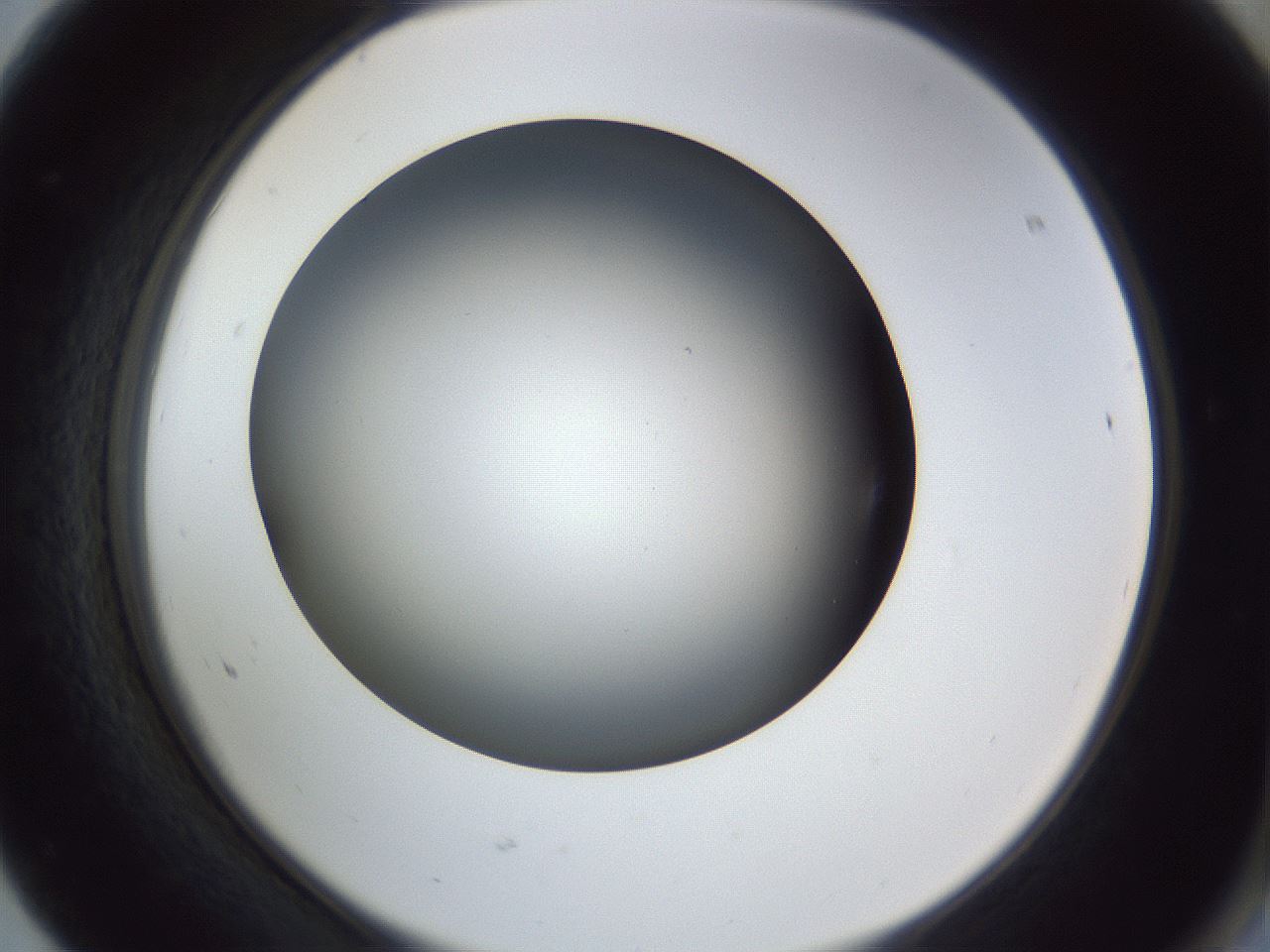 folderID364_plateID1364_batchID4726_wellNum68_profileID1_d2_r82711_ef.jpg