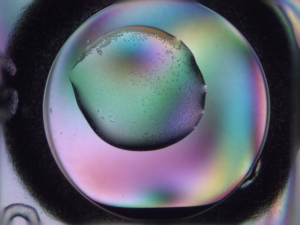 02kk_G10_ImagerDefaults_9.jpg