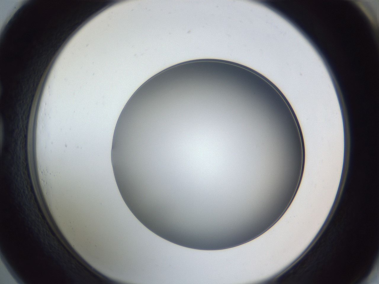 folderID364_plateID1364_batchID4726_wellNum73_profileID1_d1_r82720_ef.jpg