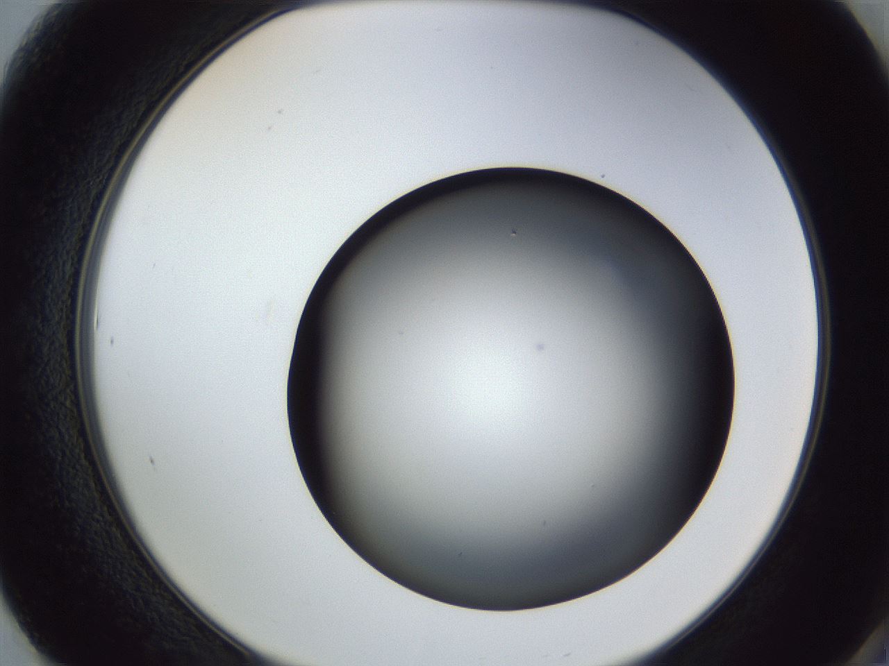 folderID364_plateID1364_batchID4726_wellNum61_profileID1_d2_r82697_ef.jpg