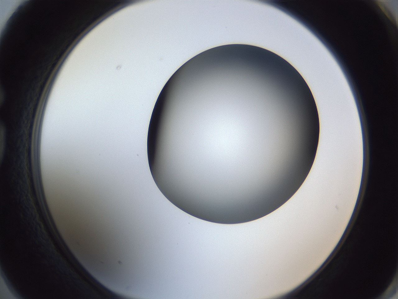 folderID364_plateID1364_batchID4726_wellNum74_profileID1_d1_r82722_ef.jpg