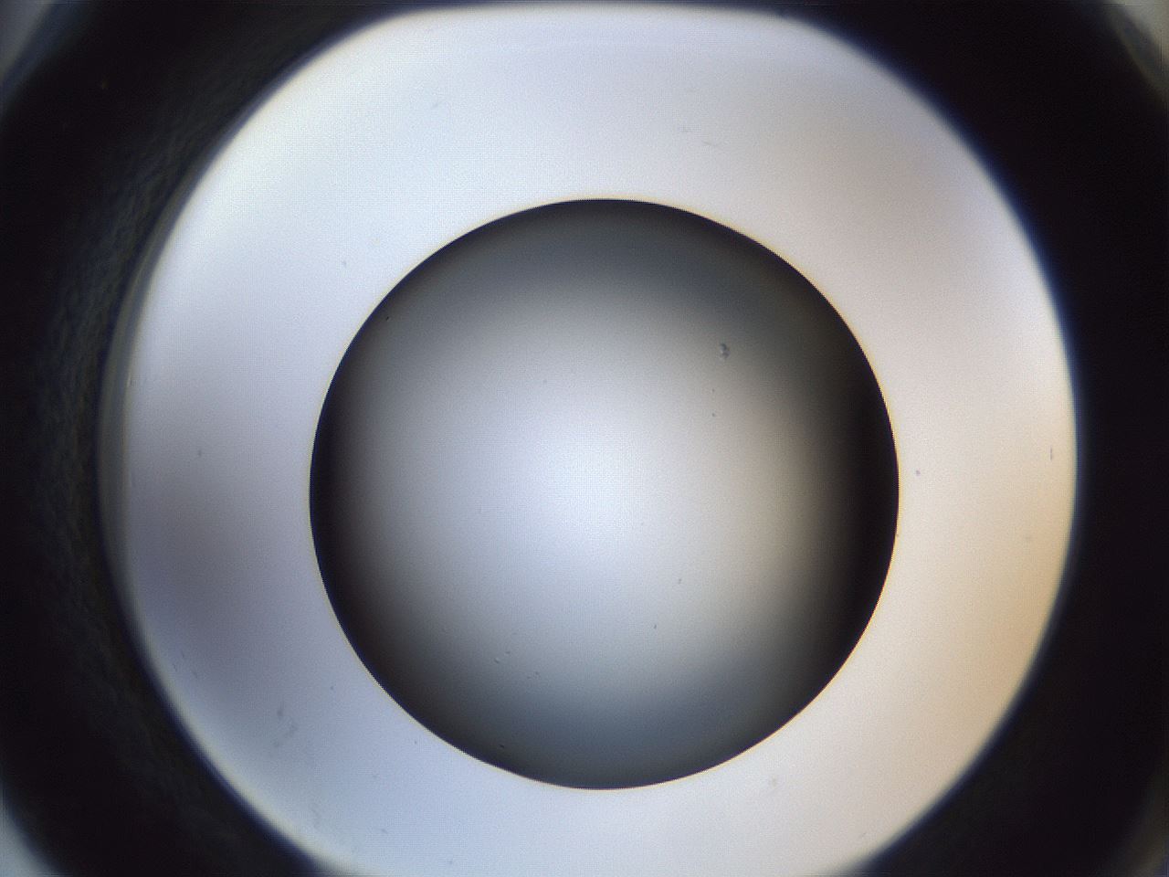 folderID364_plateID1364_batchID4726_wellNum78_profileID1_d2_r82731_ef.jpg