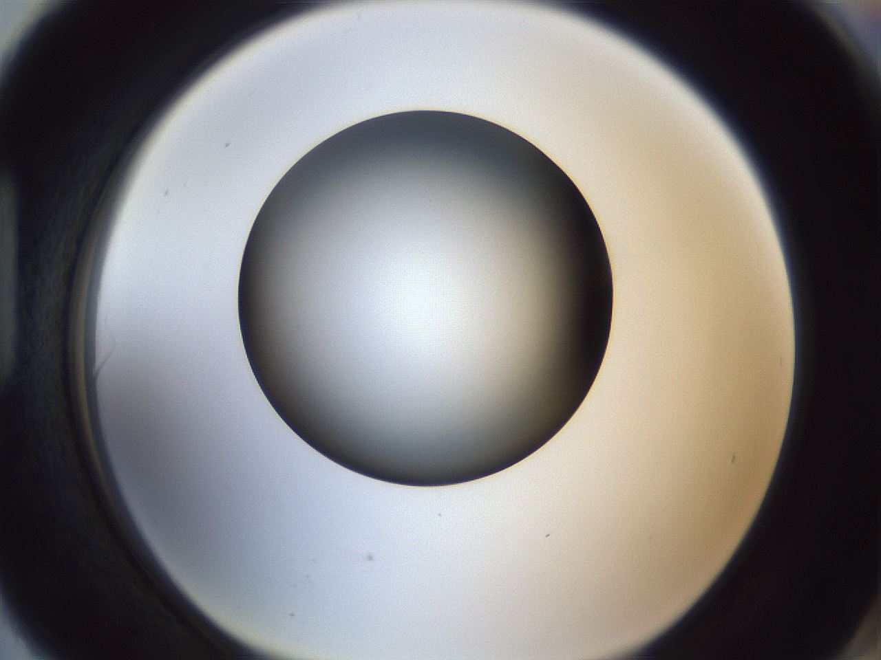 folderID364_plateID1364_batchID4726_wellNum90_profileID1_d1_r82754_ef.jpg
