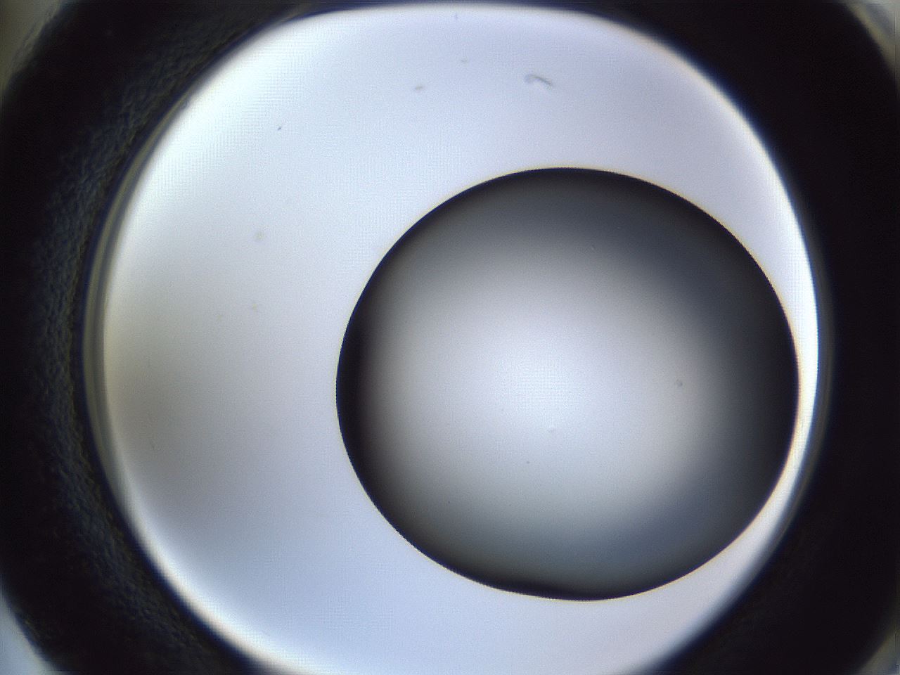 folderID364_plateID1364_batchID4726_wellNum74_profileID1_d2_r82723_ef.jpg