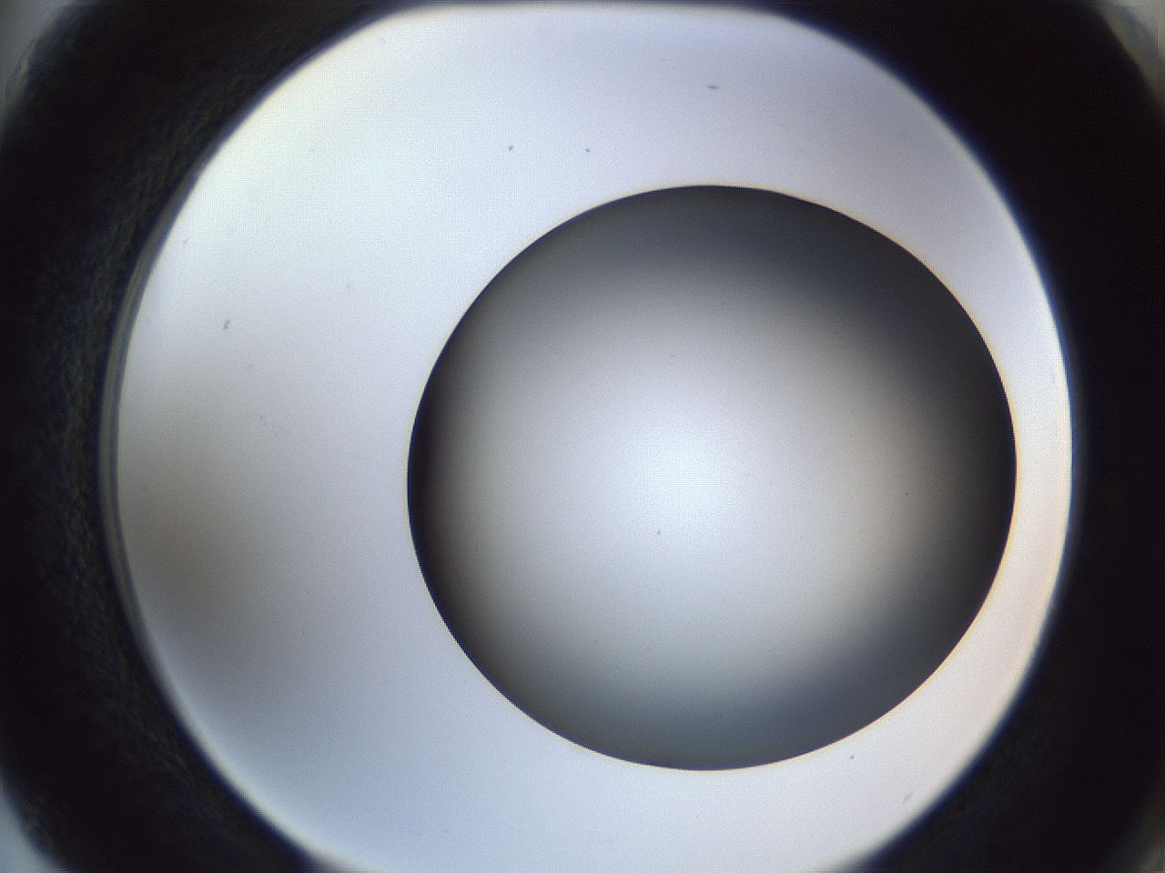 folderID364_plateID1364_batchID4726_wellNum75_profileID1_d2_r82725_ef.jpg