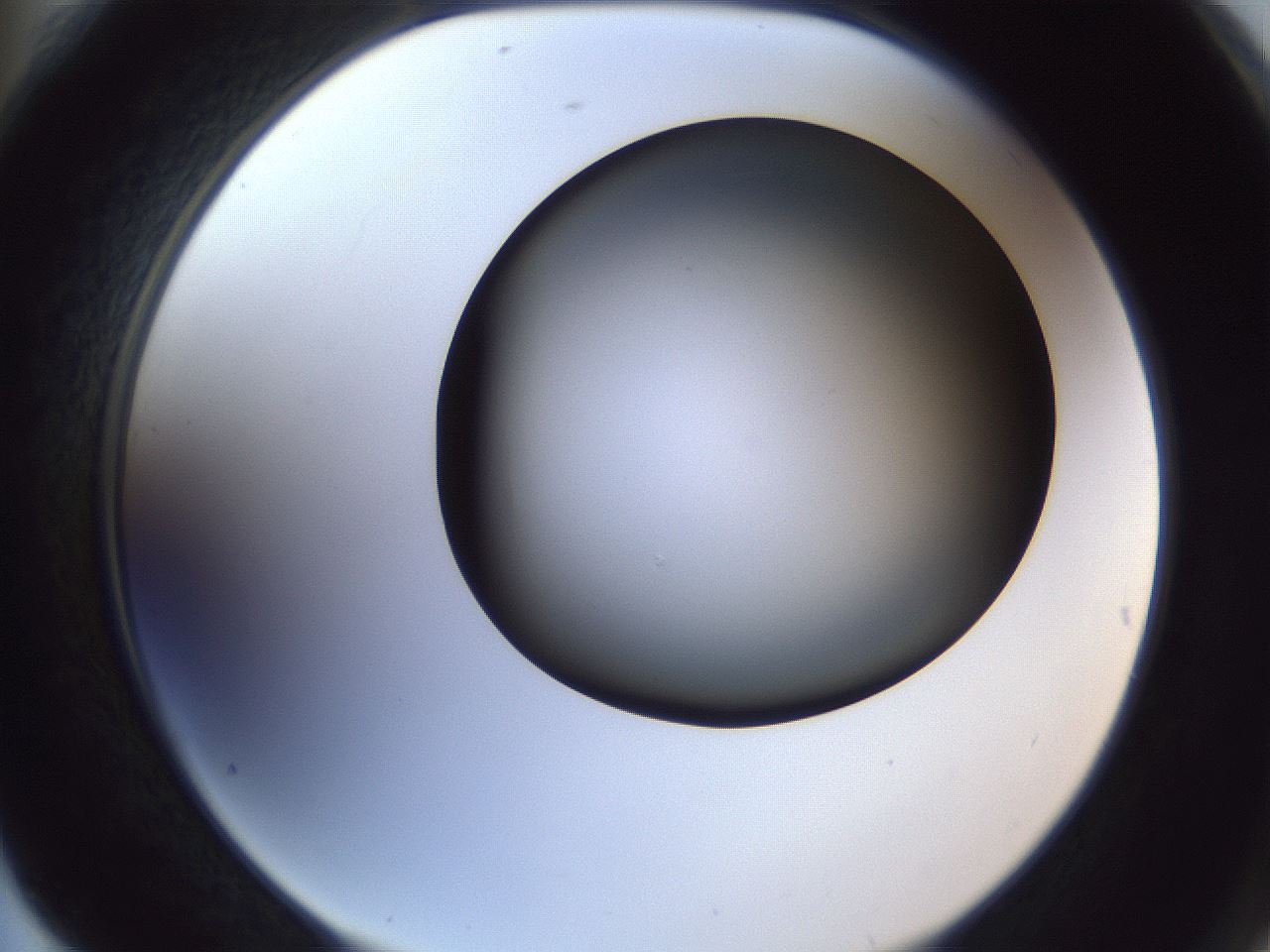 folderID364_plateID1364_batchID4726_wellNum76_profileID1_d2_r82727_ef.jpg
