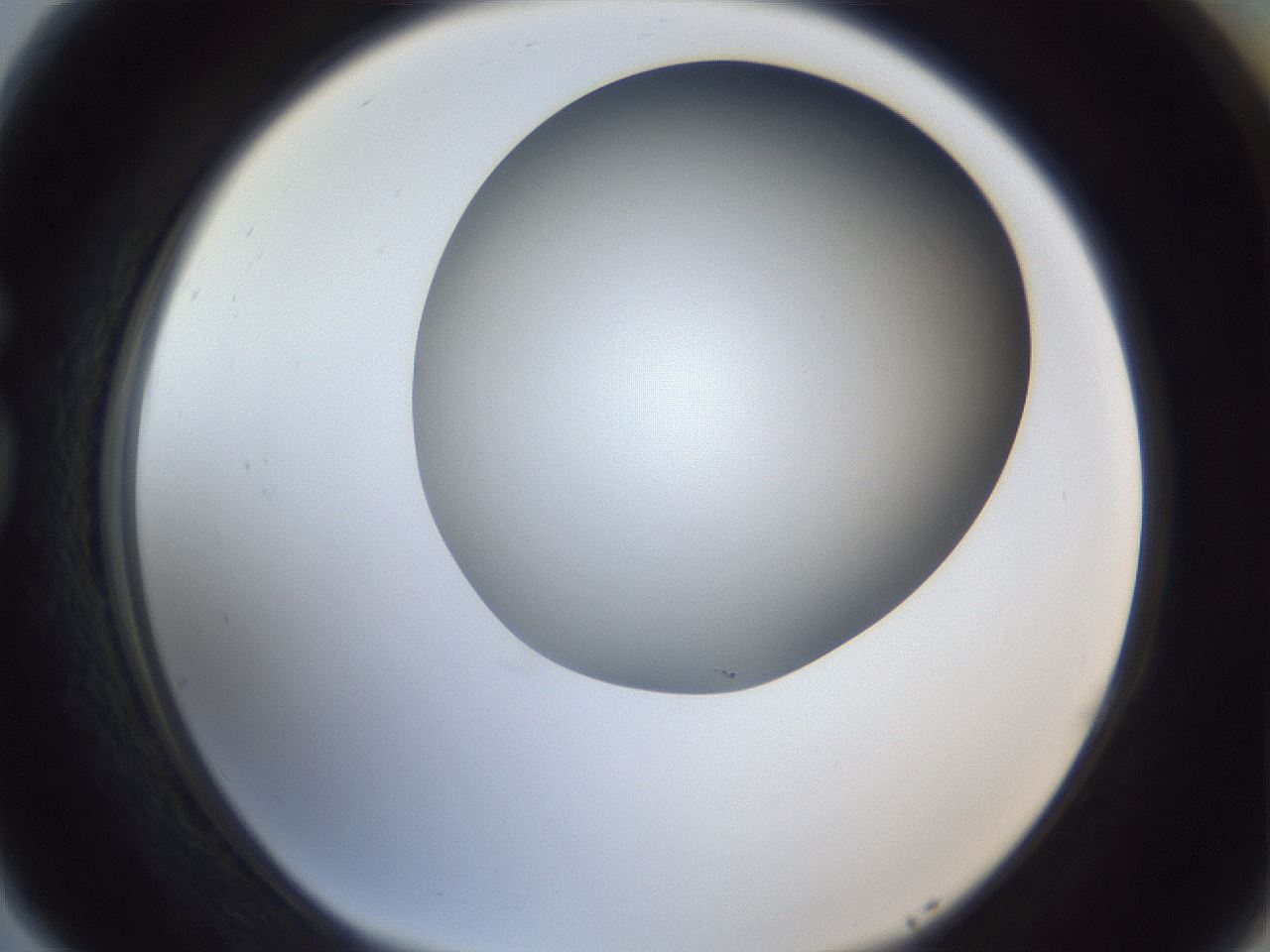 folderID364_plateID1364_batchID4726_wellNum77_profileID1_d1_r82728_ef.jpg