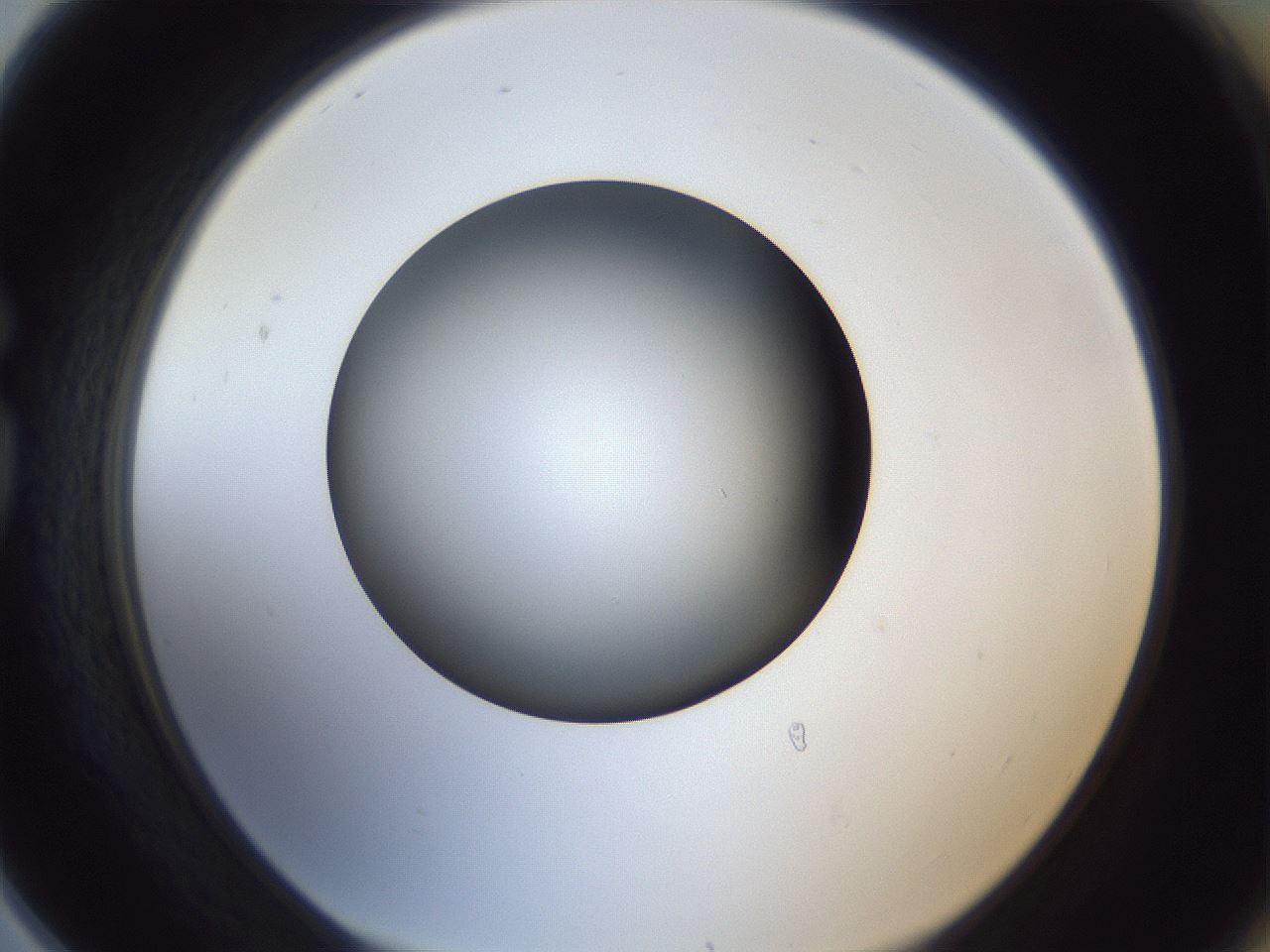 folderID364_plateID1364_batchID4726_wellNum78_profileID1_d1_r82730_ef.jpg