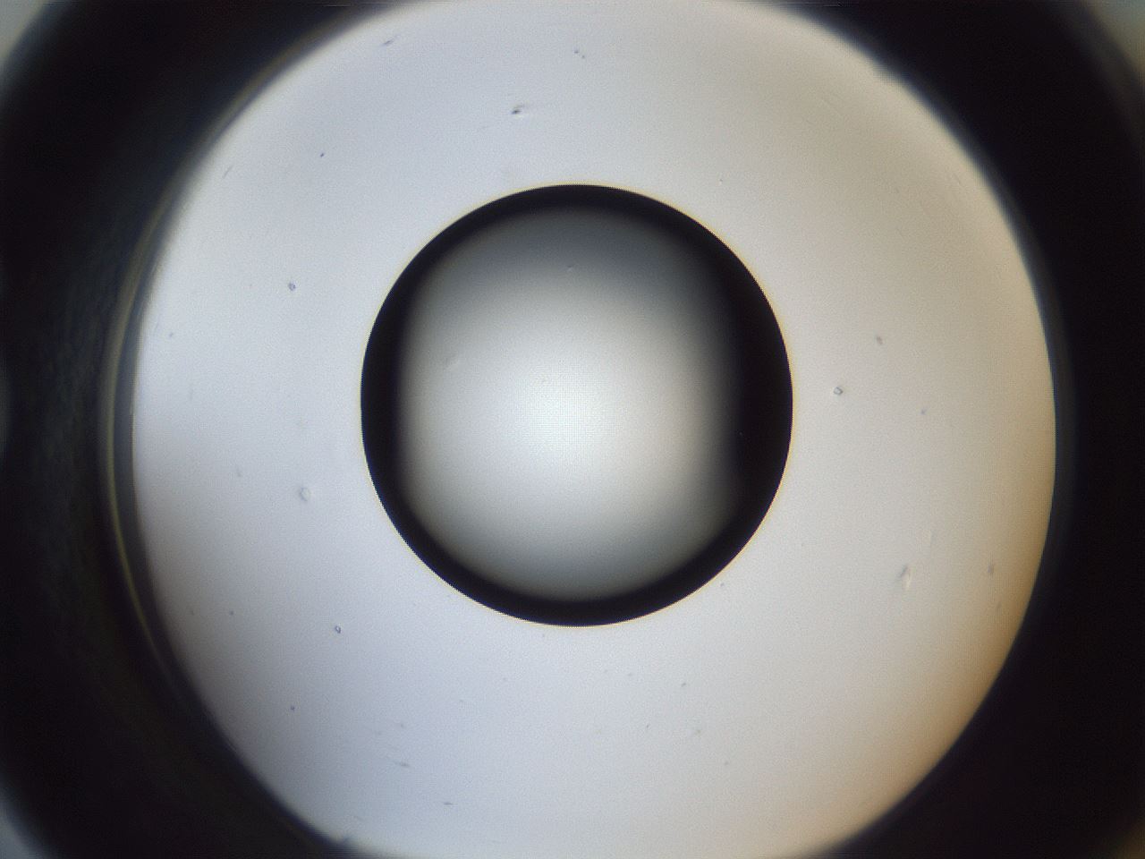 folderID364_plateID1364_batchID4726_wellNum79_profileID1_d1_r82732_ef.jpg