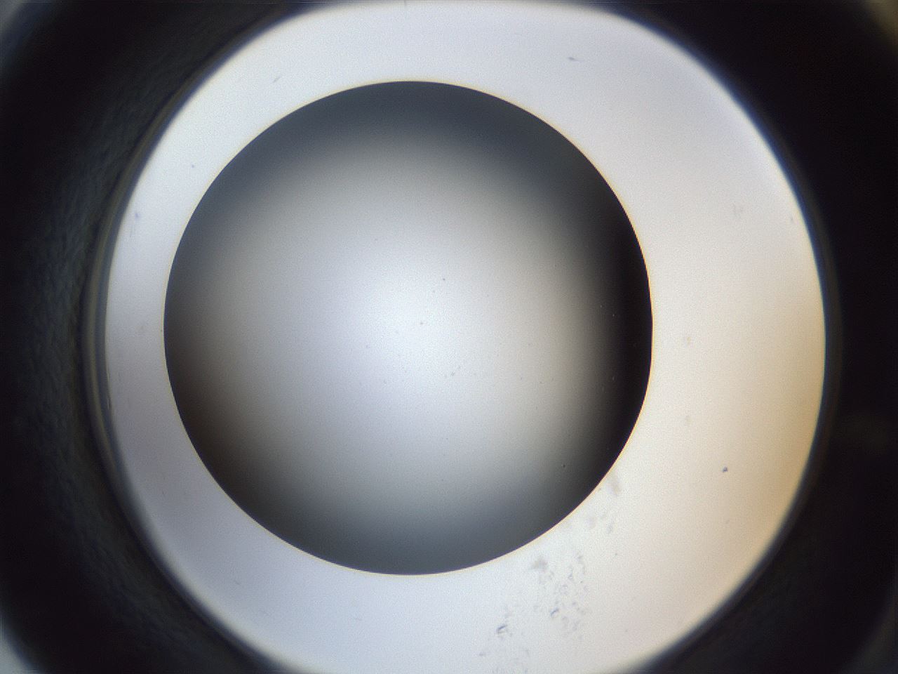 folderID364_plateID1364_batchID4726_wellNum79_profileID1_d2_r82733_ef.jpg
