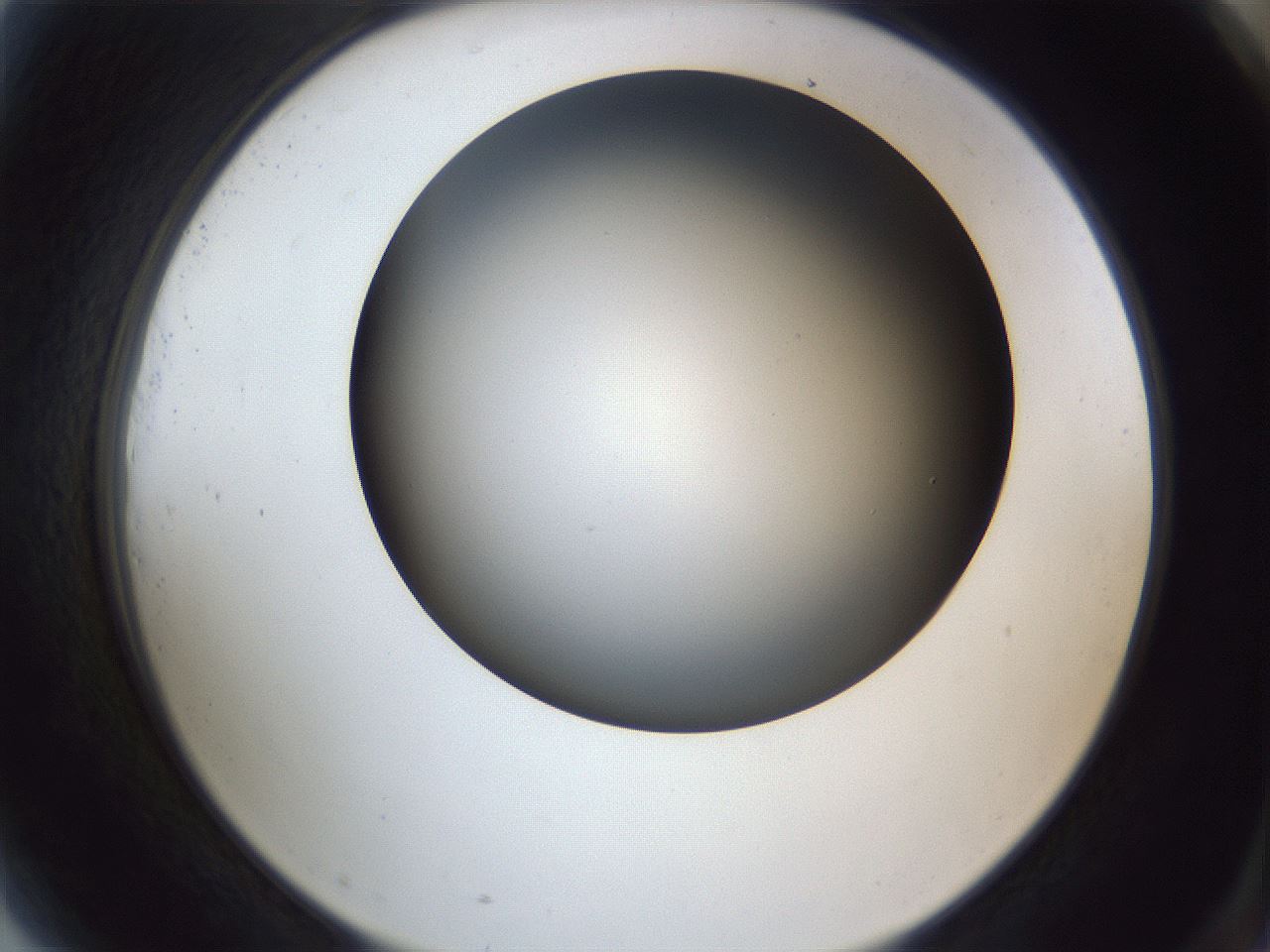 folderID364_plateID1364_batchID4726_wellNum81_profileID1_d2_r82737_ef.jpg