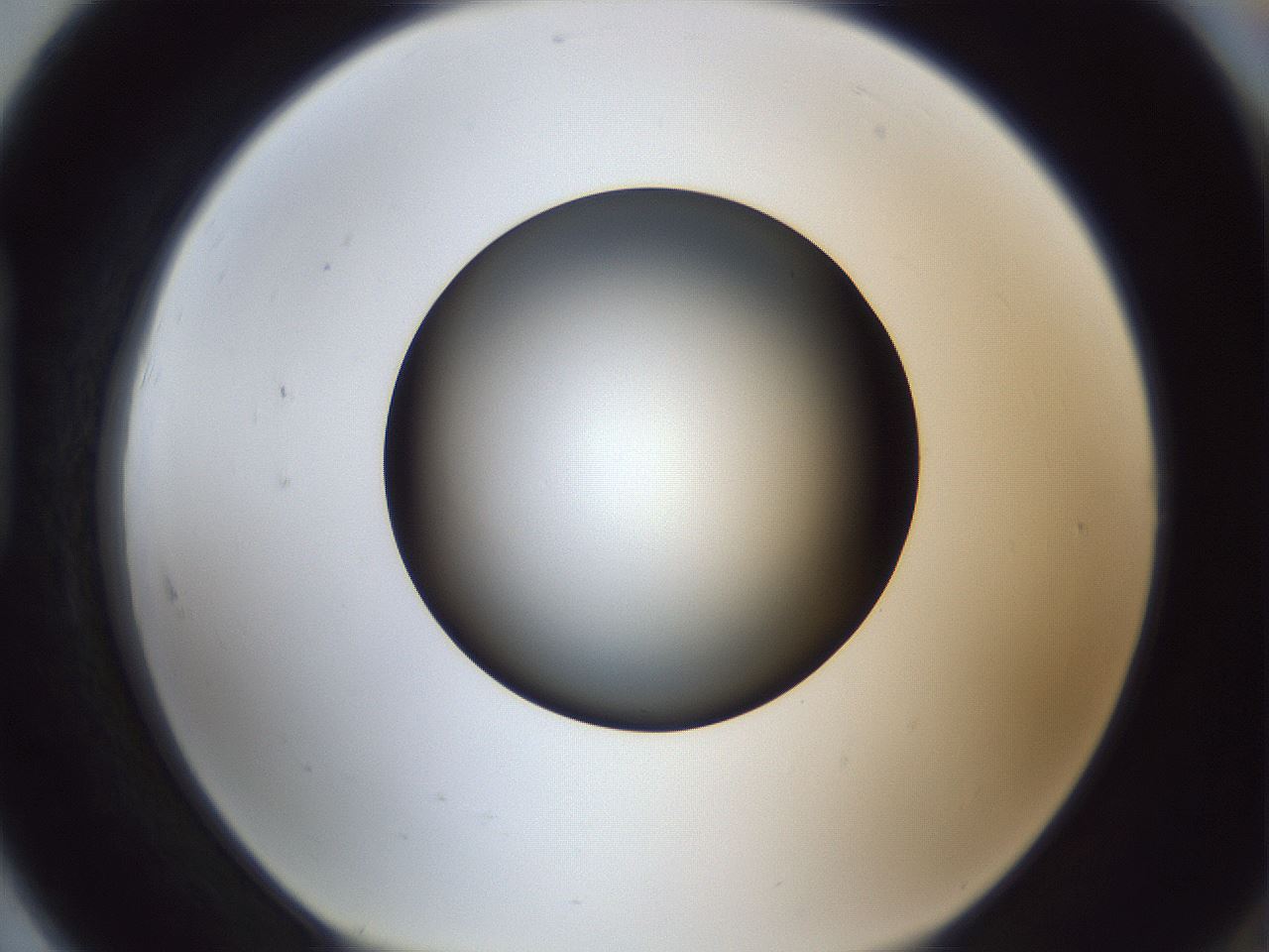 folderID364_plateID1364_batchID4726_wellNum91_profileID1_d1_r82756_ef.jpg