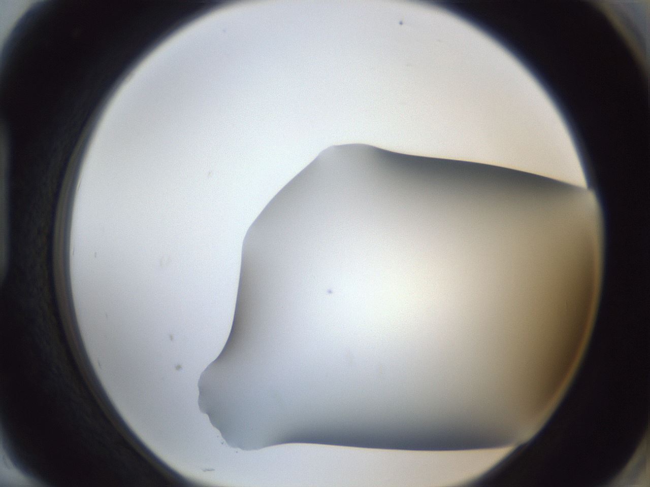 folderID364_plateID1364_batchID4726_wellNum94_profileID1_d1_r82762_ef.jpg