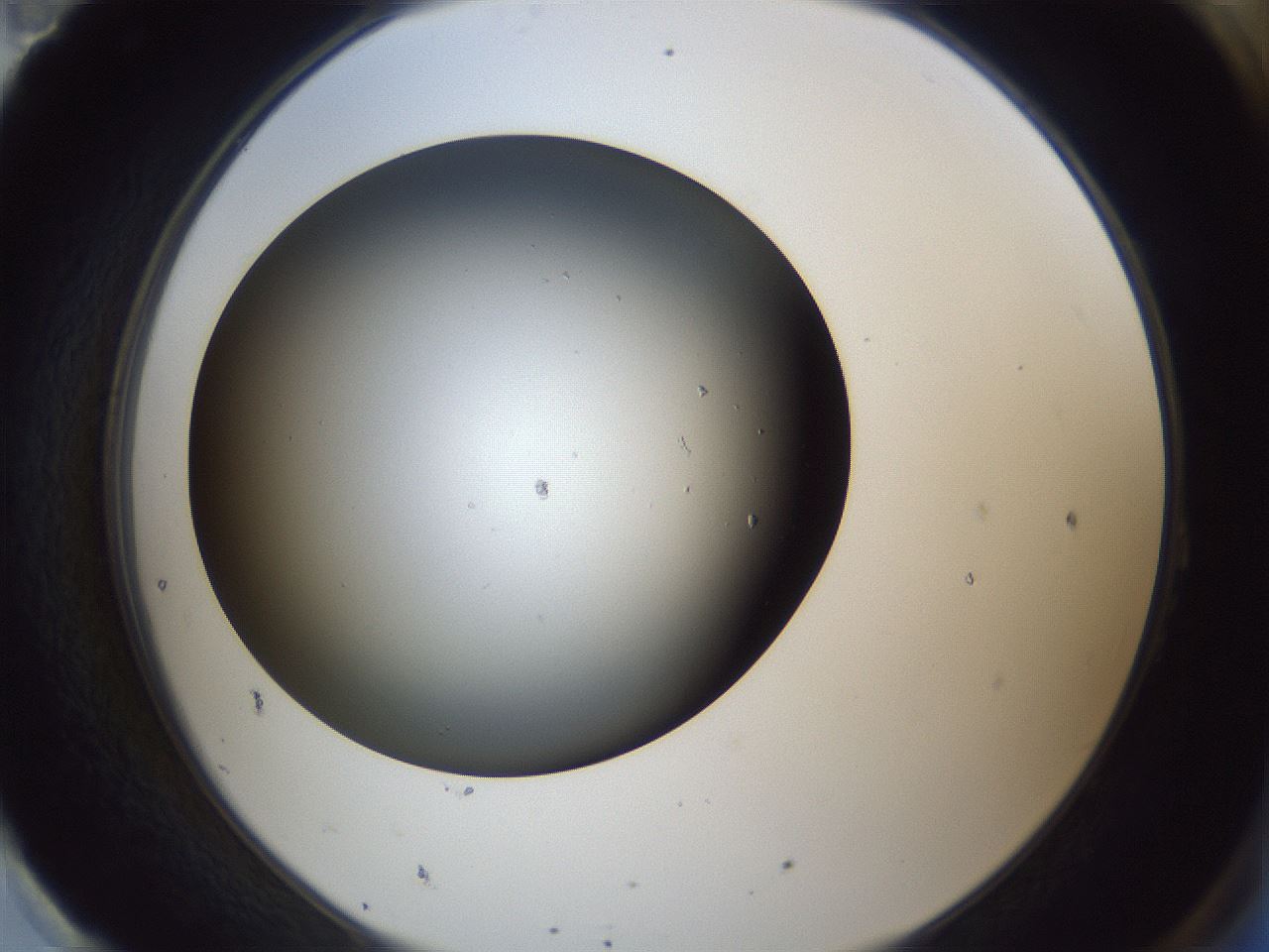 folderID364_plateID1364_batchID4726_wellNum95_profileID1_d2_r82765_ef.jpg