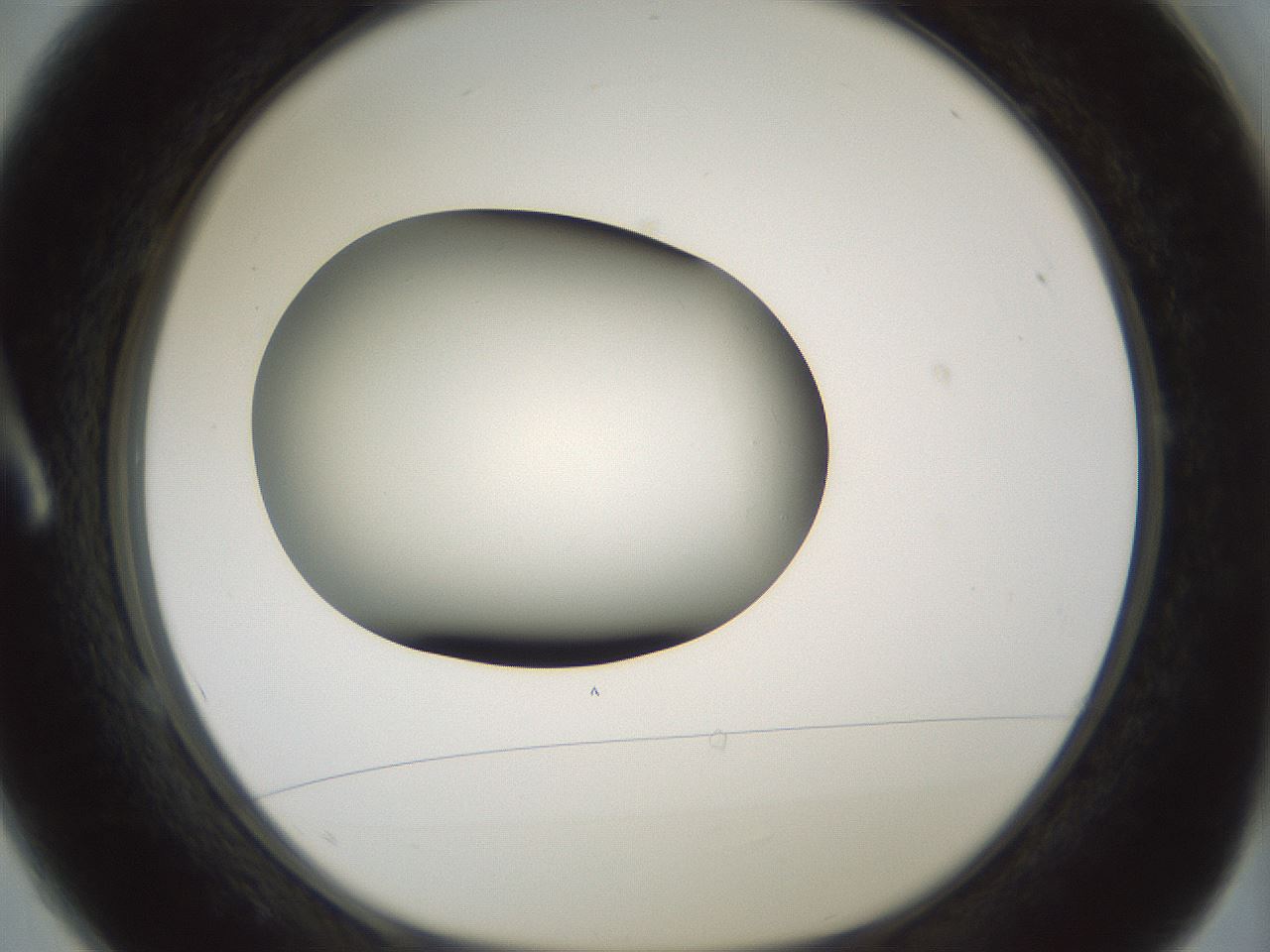 folderID365_plateID1365_batchID4729_wellNum1_profileID1_d1_r82768_ef.jpg