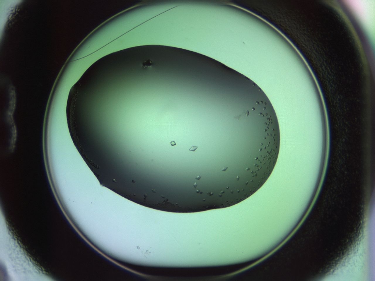 02kl_B3_ImagerDefaults_9.jpg