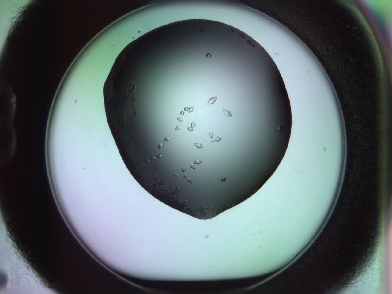 02kl_B5_ImagerDefaults_9.jpg