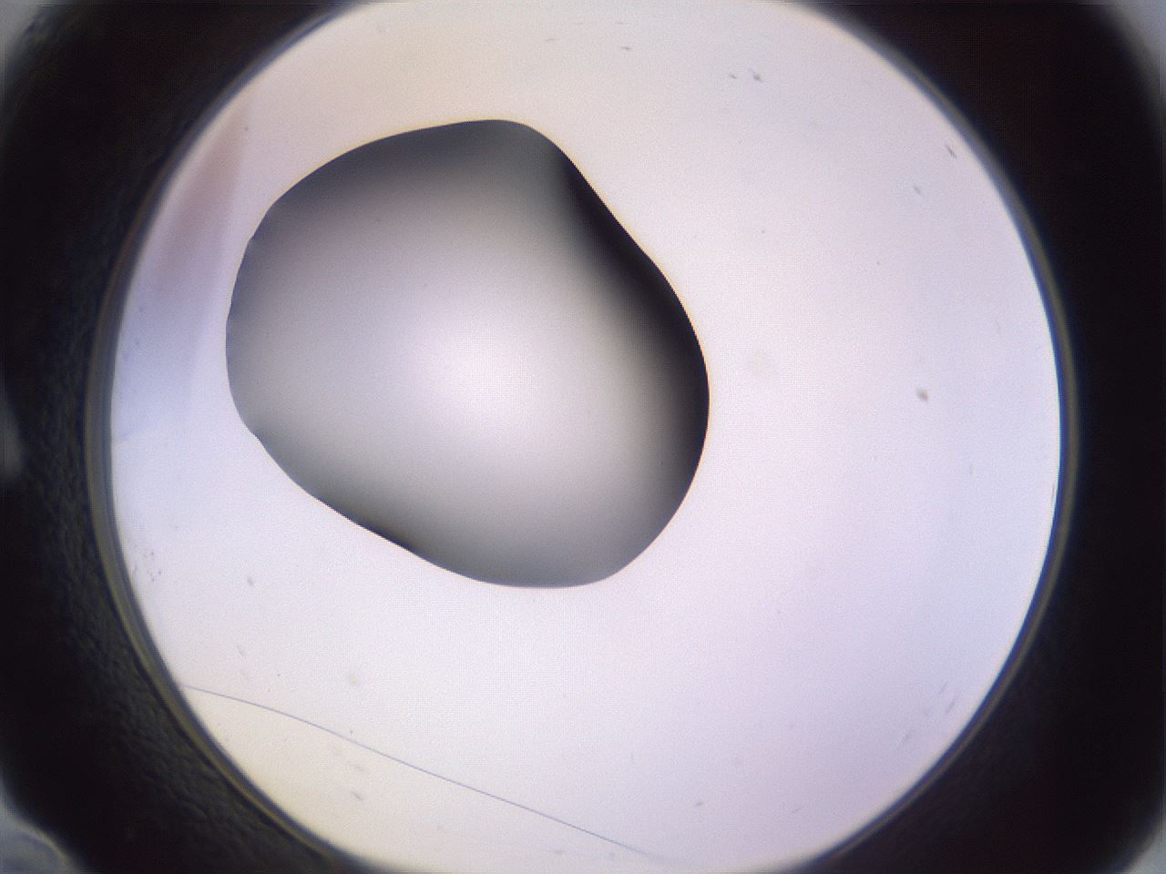 folderID366_plateID1366_batchID4730_wellNum10_profileID1_d1_r82873_ef.jpg