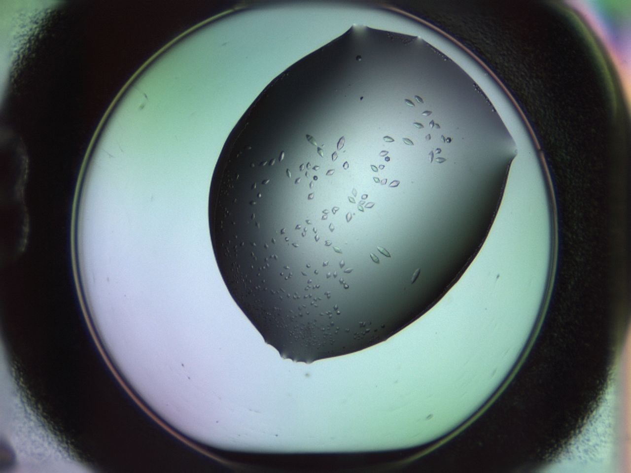 02kl_B6_ImagerDefaults_9.jpg