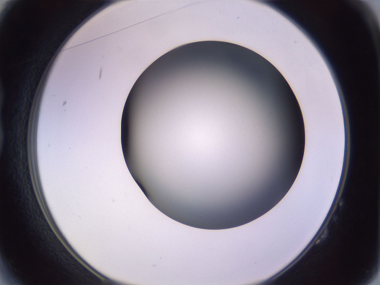 folderID366_plateID1366_batchID4730_wellNum14_profileID1_d1_r82877_ef.jpg