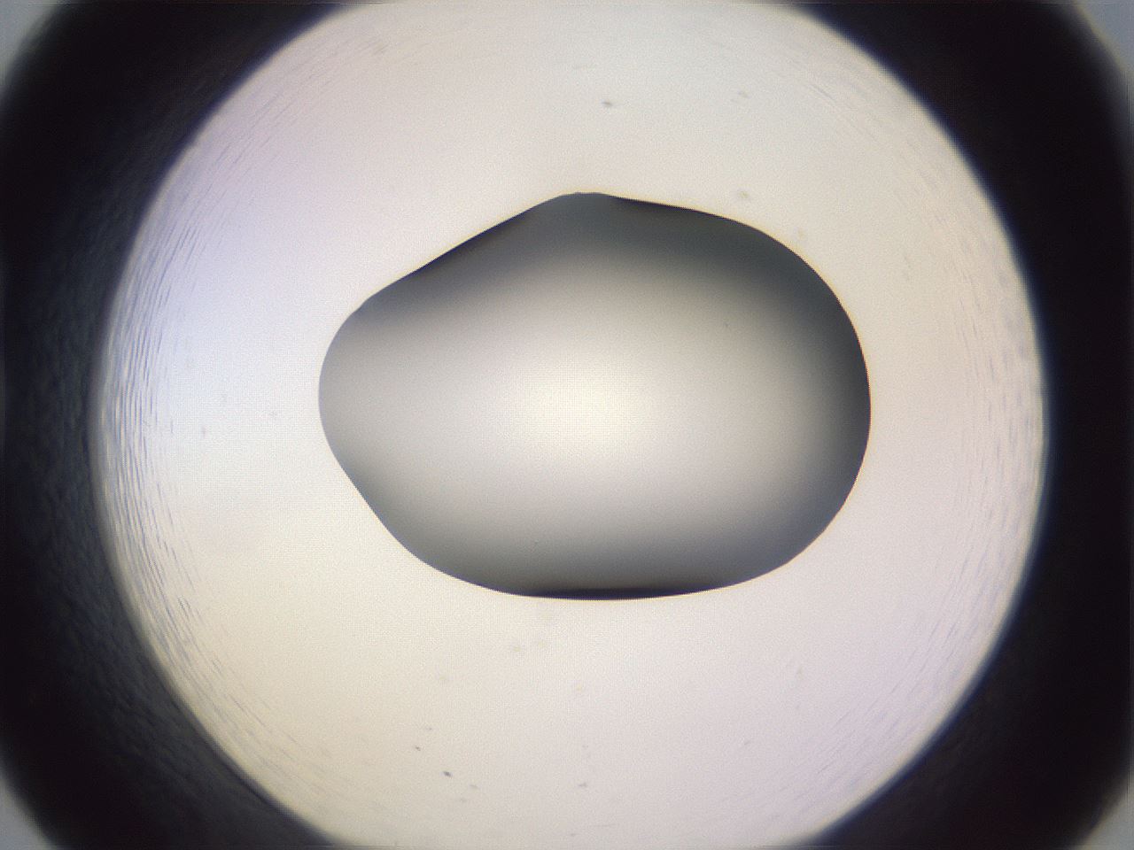 folderID366_plateID1366_batchID4730_wellNum20_profileID1_d1_r82883_ef.jpg
