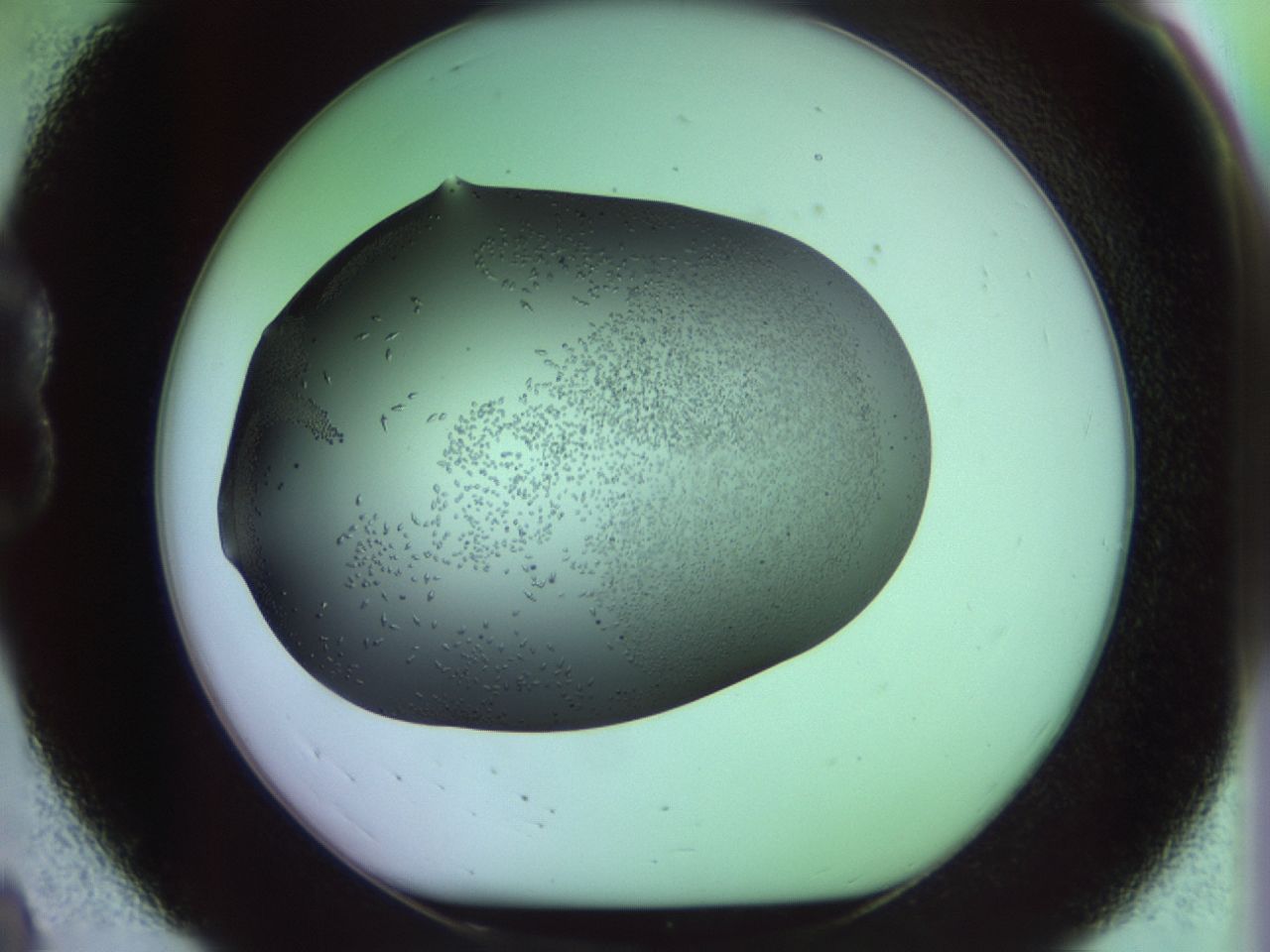 02kl_B8_ImagerDefaults_9.jpg