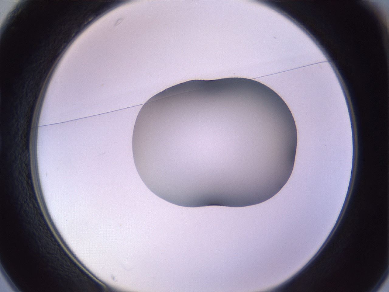 folderID366_plateID1366_batchID4730_wellNum25_profileID1_d1_r82888_ef.jpg