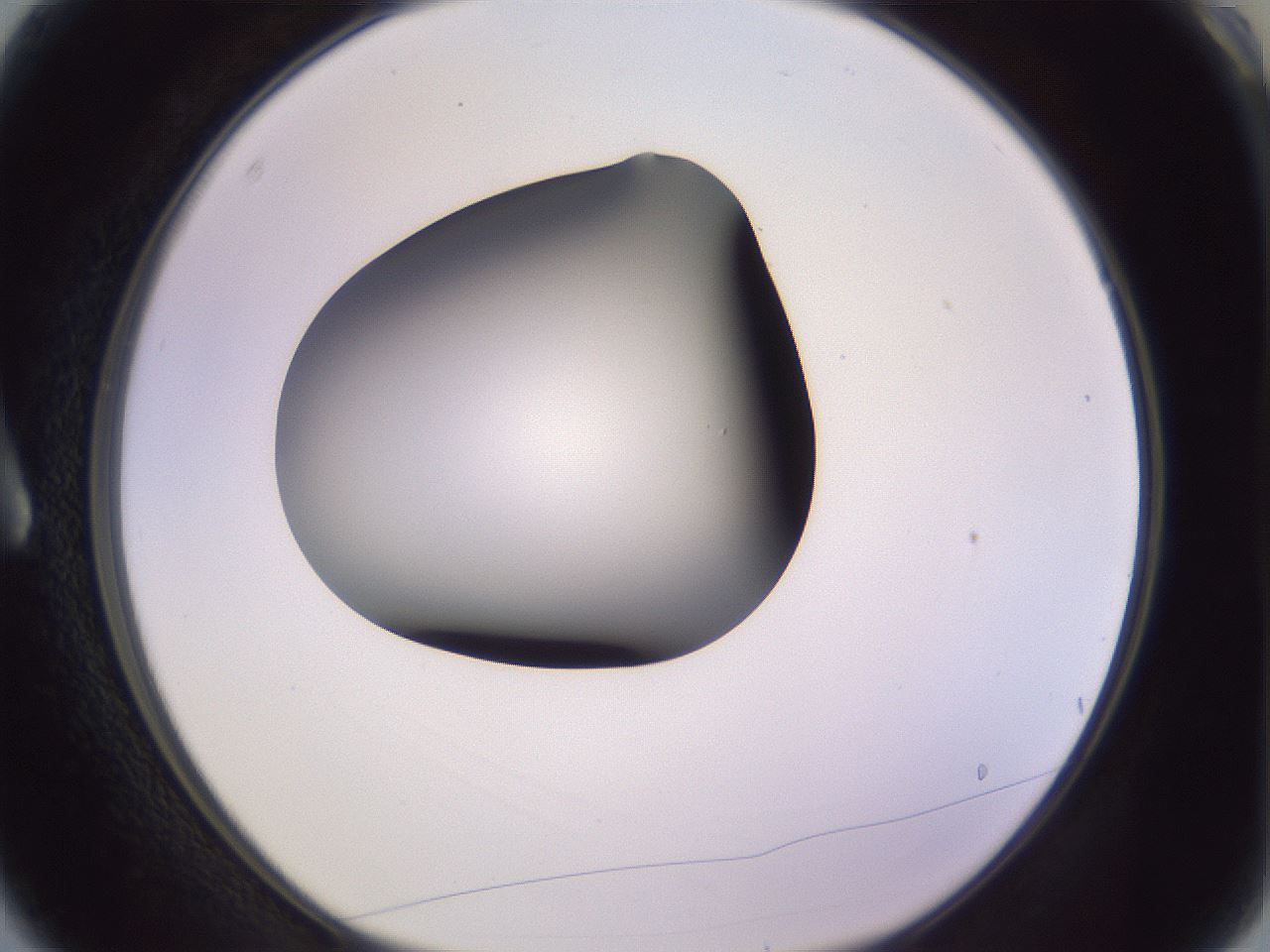 folderID366_plateID1366_batchID4730_wellNum3_profileID1_d1_r82866_ef.jpg