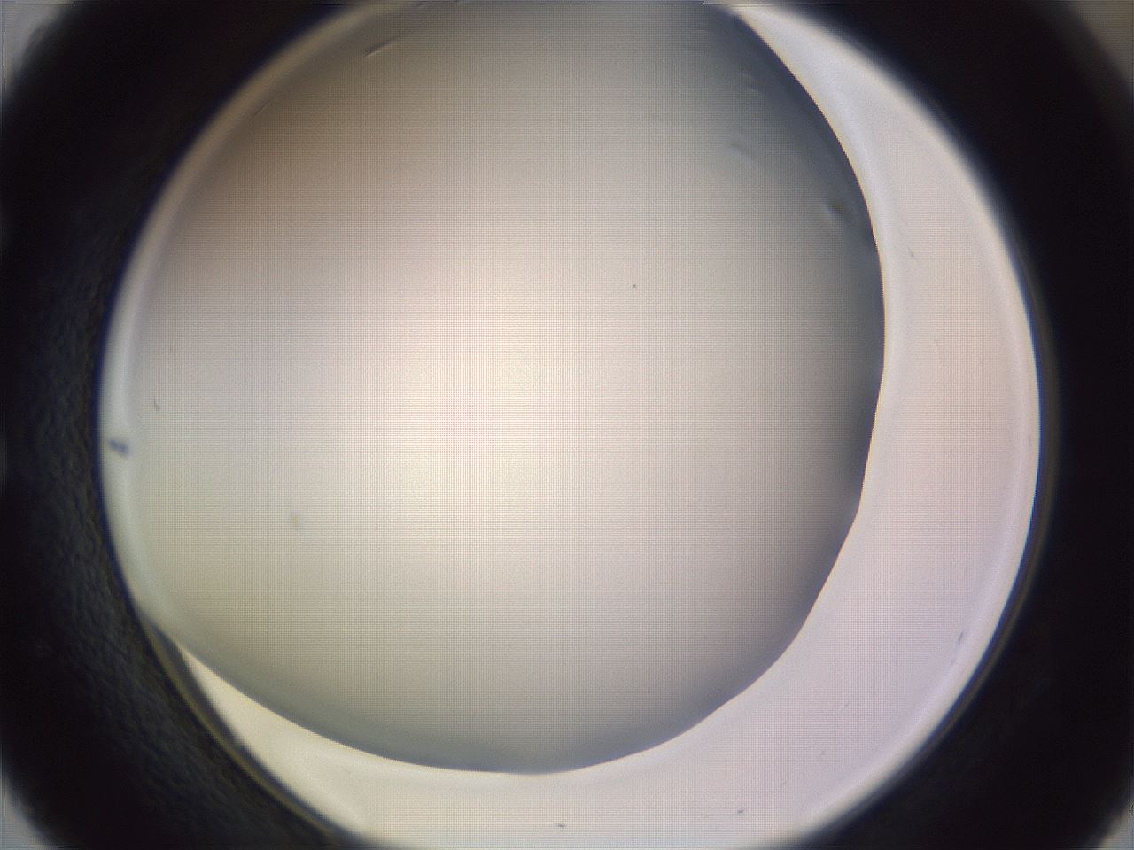 folderID366_plateID1366_batchID4730_wellNum51_profileID1_d1_r82914_ef.jpg