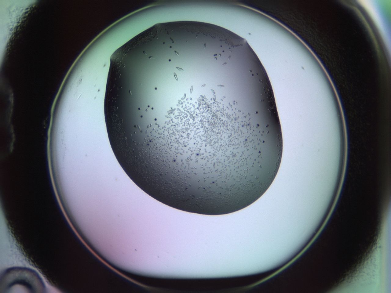 02kl_B10_ImagerDefaults_9.jpg