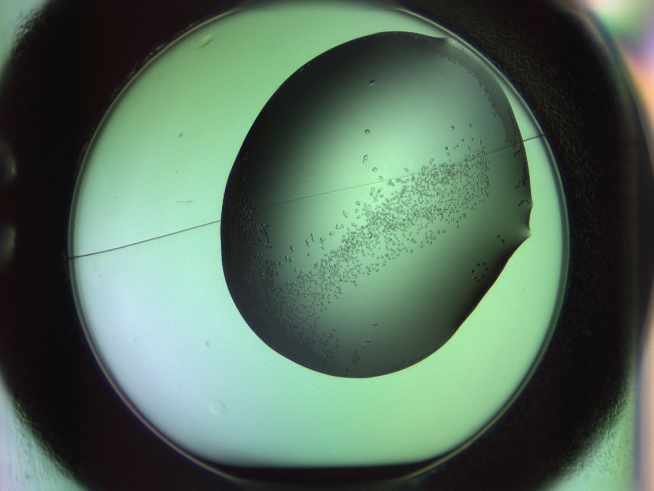 02kl_C1_ImagerDefaults_9.jpg