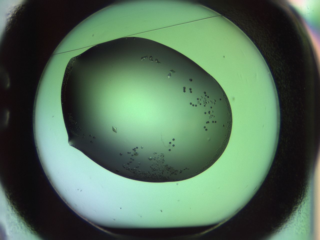 02kl_C2_ImagerDefaults_9.jpg