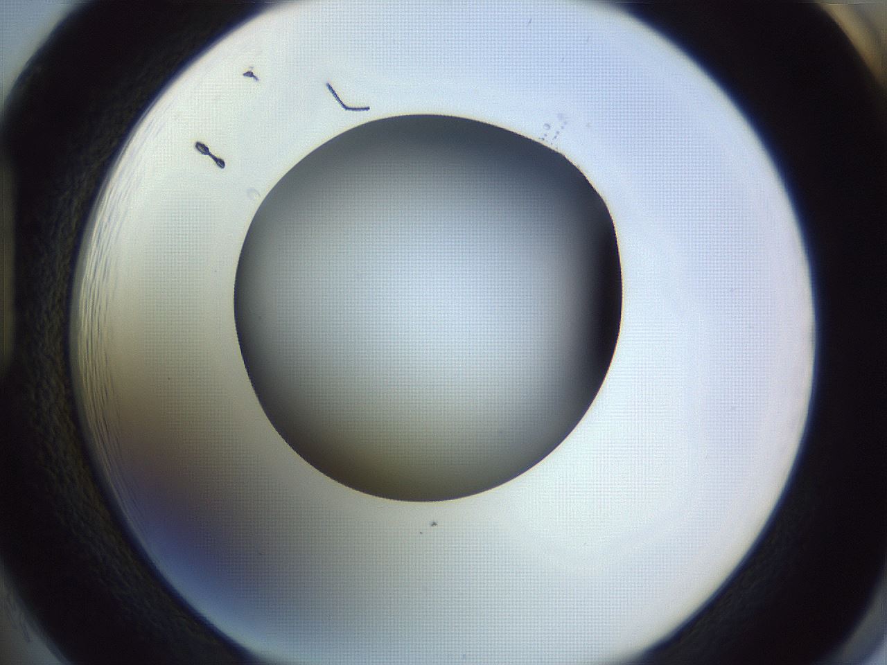folderID366_plateID1366_batchID4730_wellNum85_profileID1_d1_r82948_ef.jpg