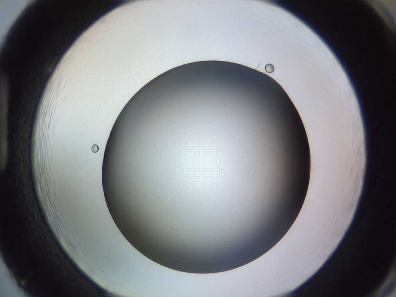 folderID366_plateID1366_batchID4730_wellNum86_profileID1_d1_r82949_ef.jpg