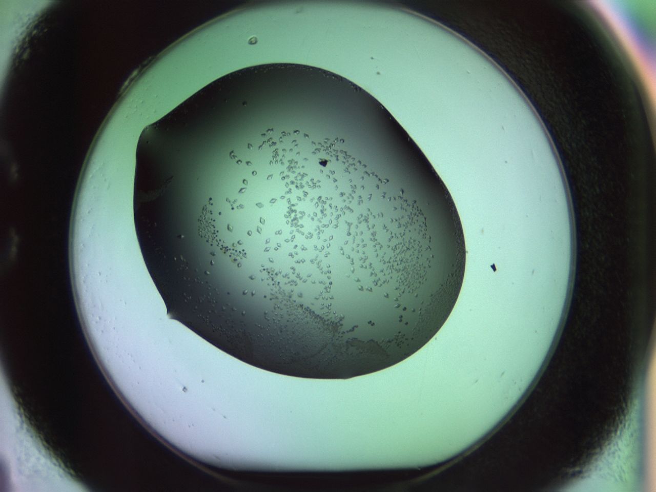 02kl_C4_ImagerDefaults_9.jpg