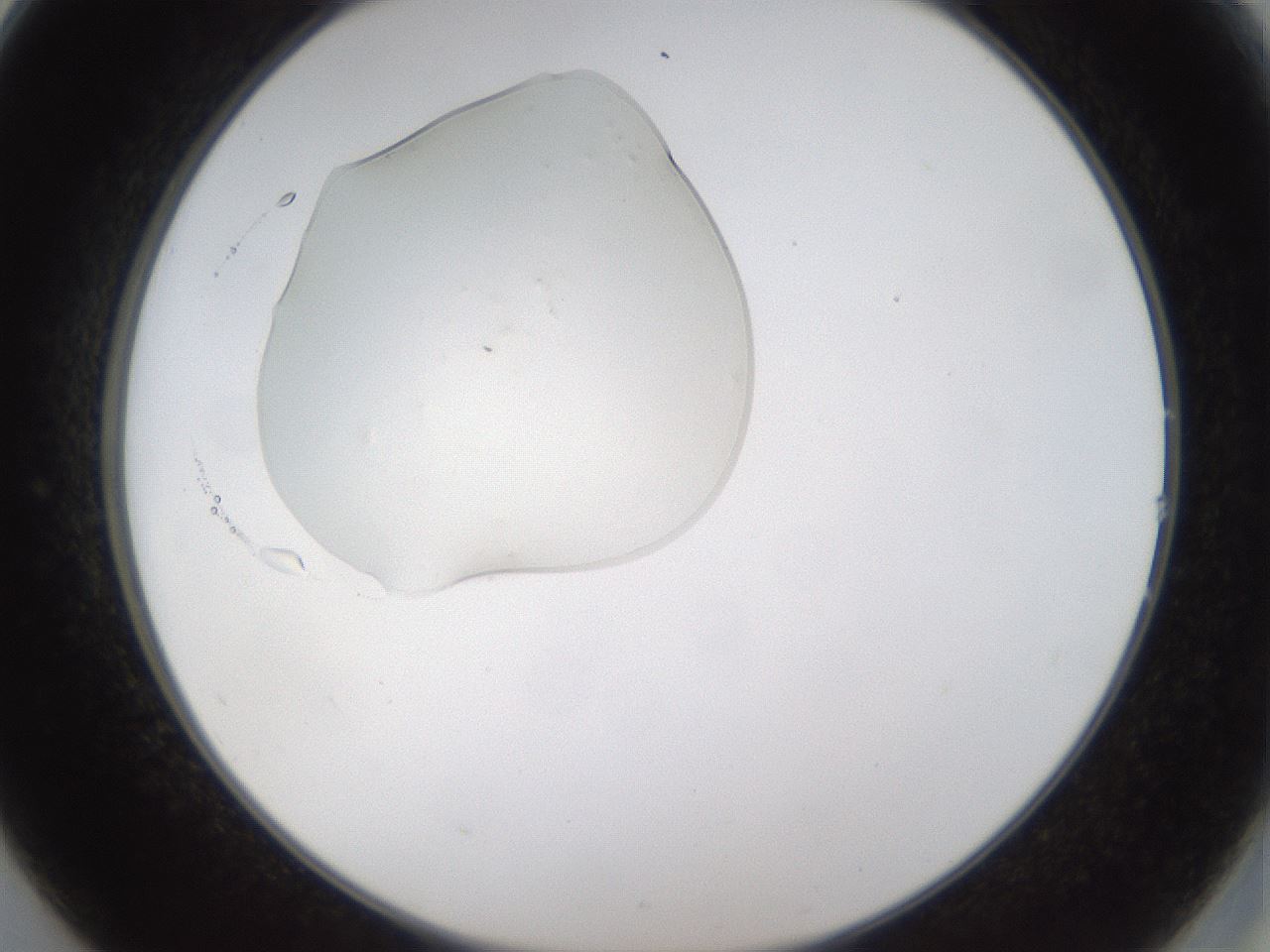 folderID367_plateID1367_batchID4732_wellNum14_profileID1_d2_r82987_ef.jpg