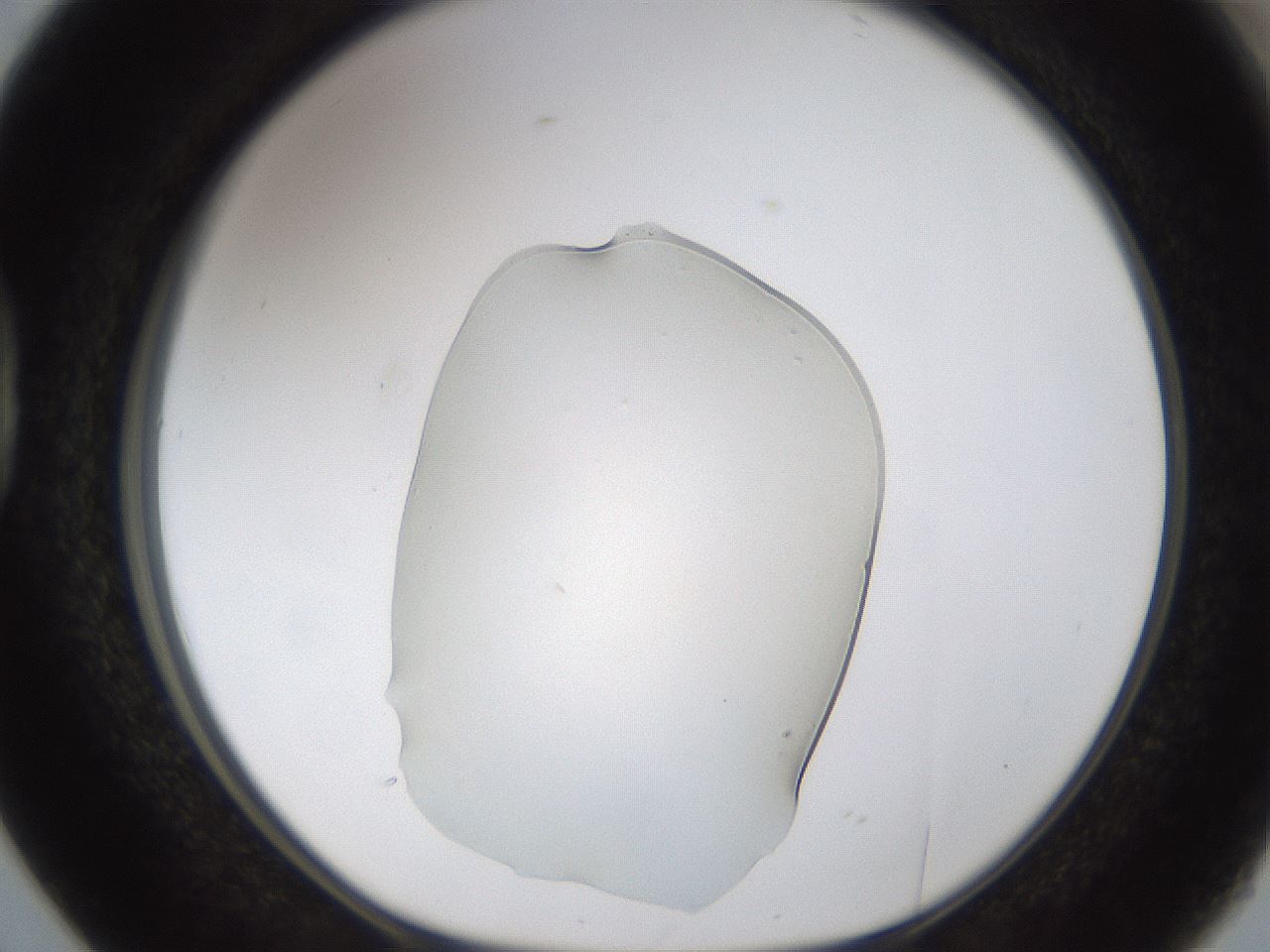 folderID367_plateID1367_batchID4732_wellNum38_profileID1_d1_r83034_ef.jpg