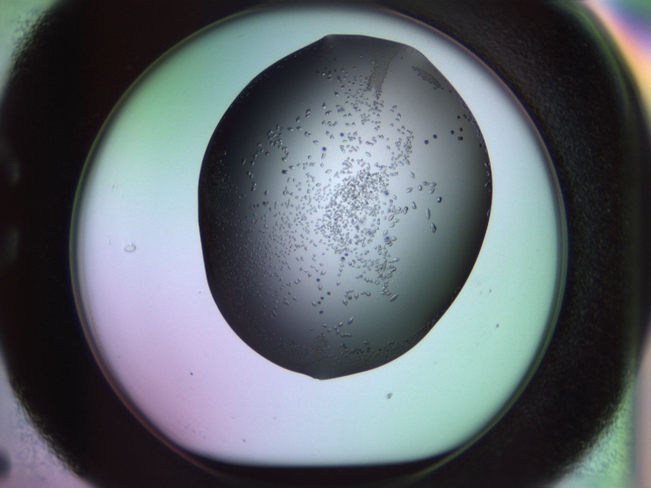 02kl_C5_ImagerDefaults_9.jpg