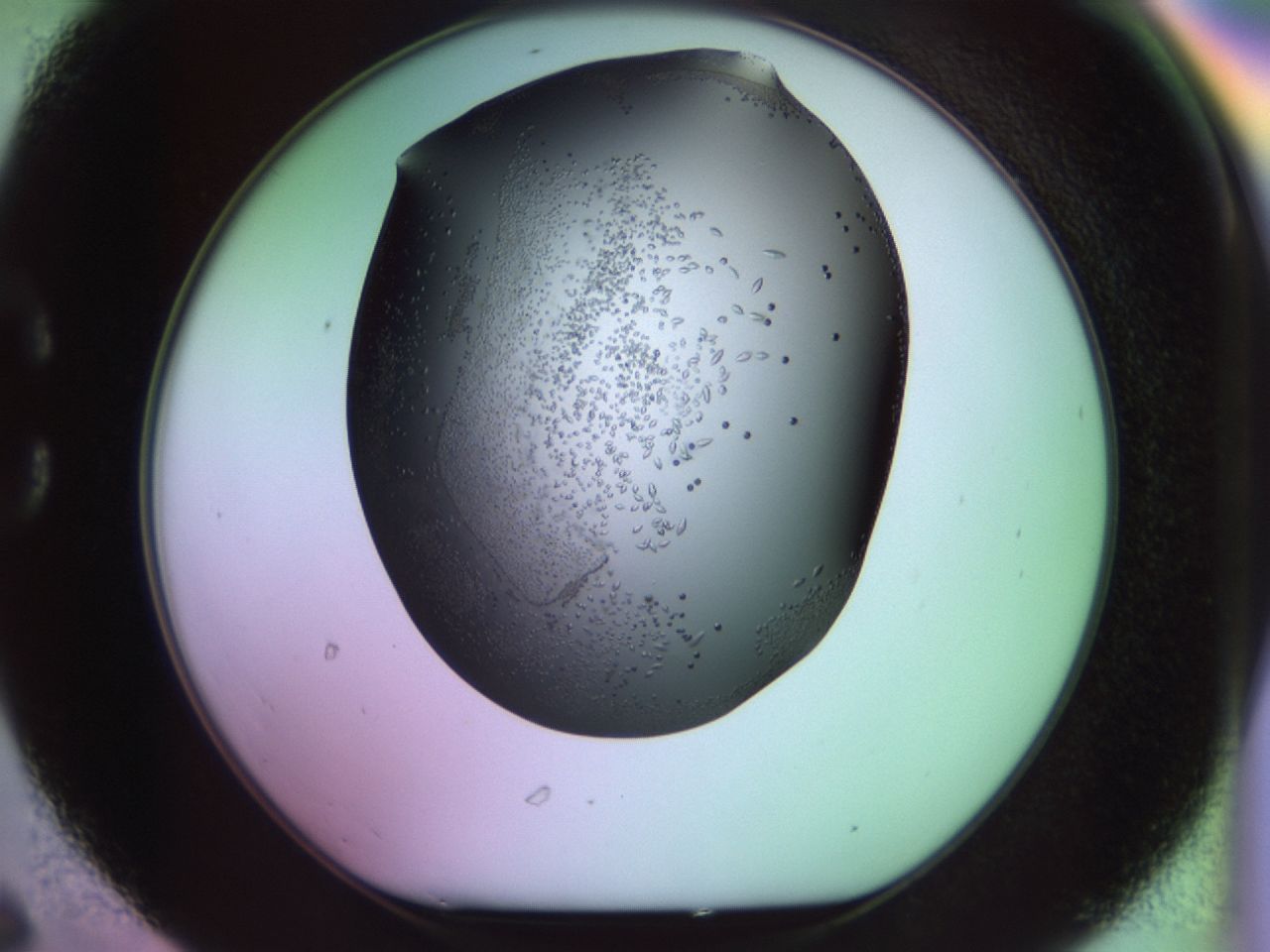 02kl_C6_ImagerDefaults_9.jpg