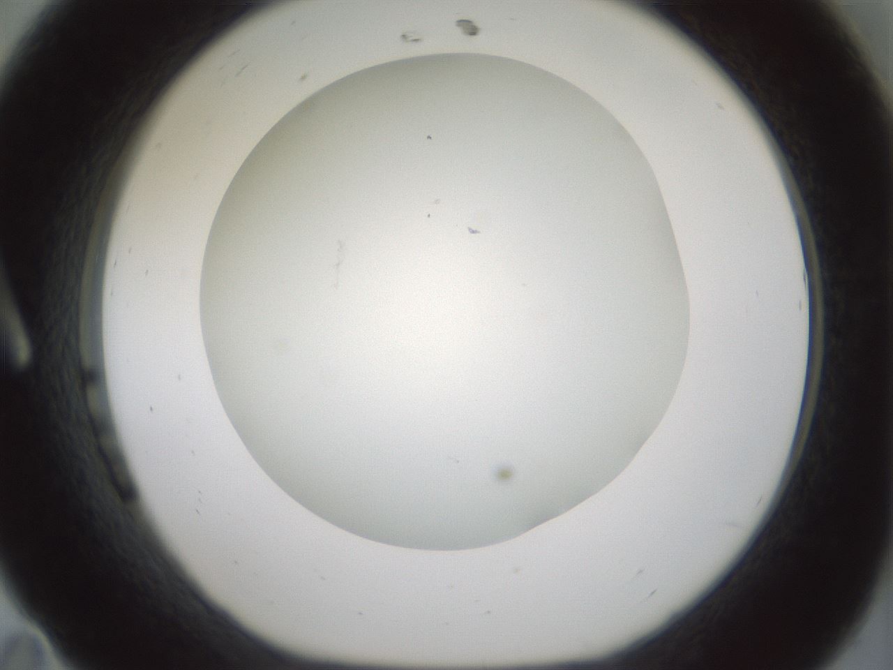 folderID370_plateID1370_batchID4736_wellNum11_profileID1_d1_r83546_ef.jpg