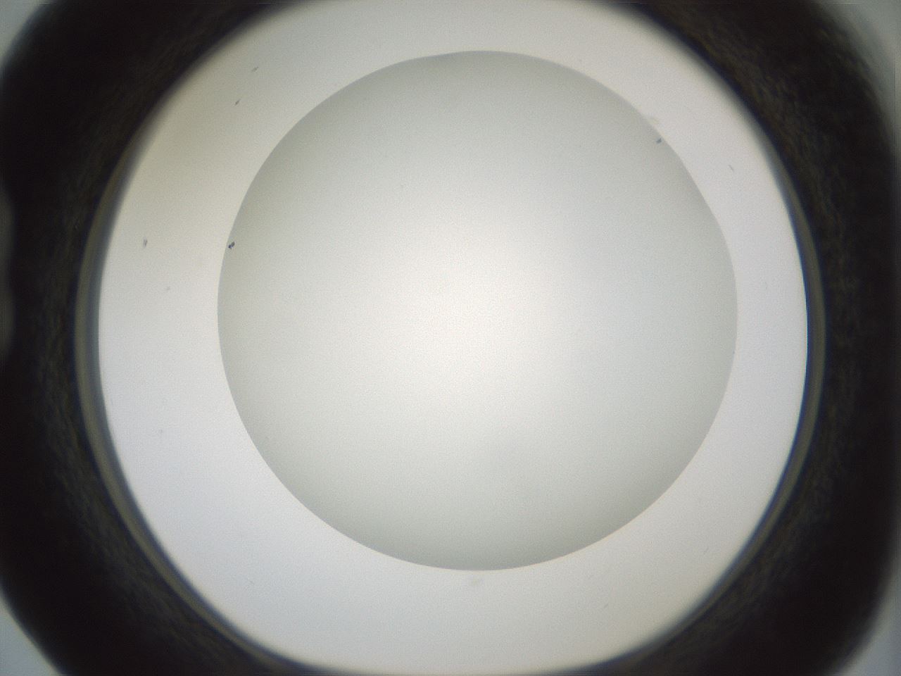 folderID370_plateID1370_batchID4736_wellNum17_profileID1_d1_r83552_ef.jpg