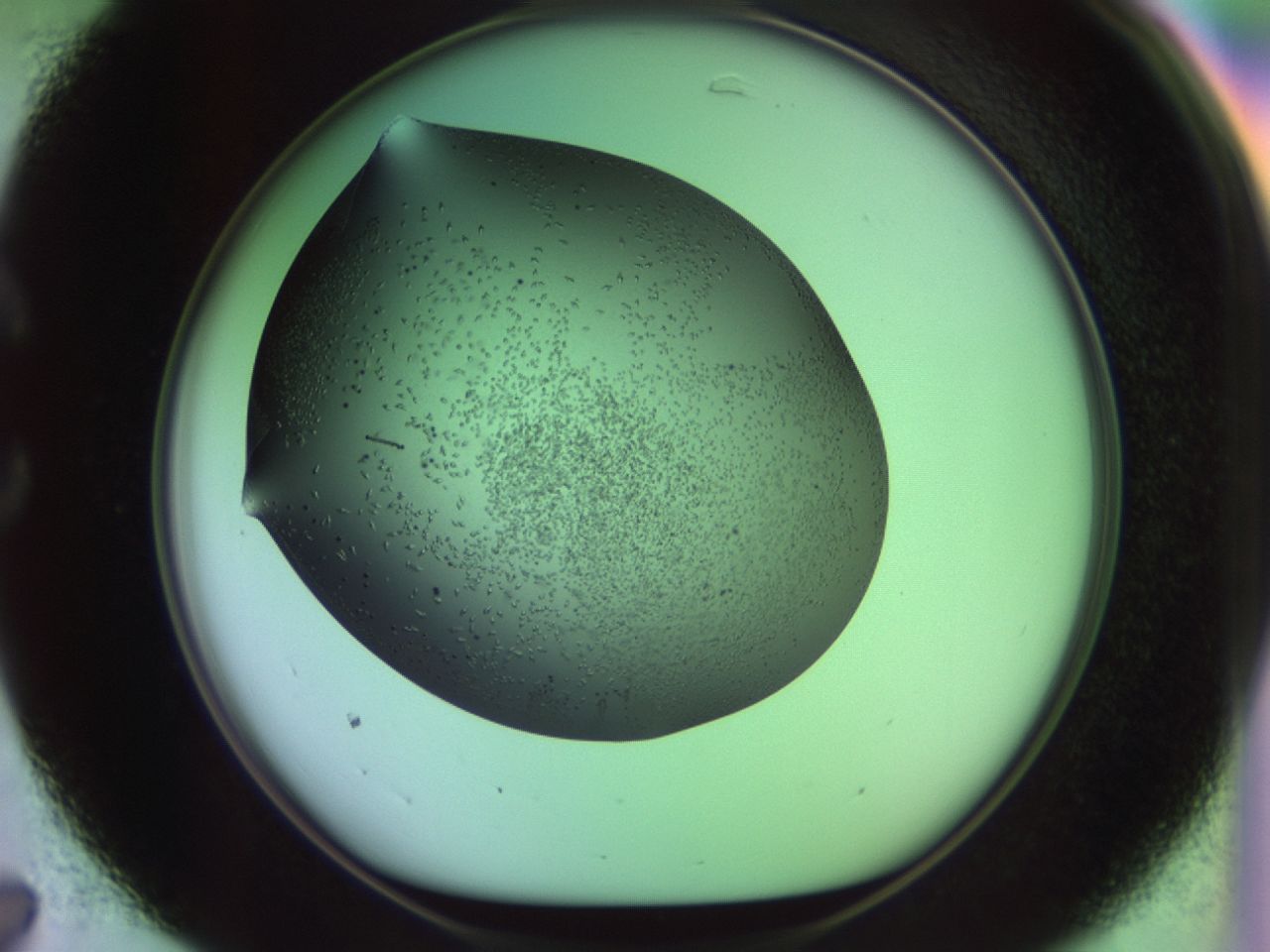 02kl_C7_ImagerDefaults_9.jpg