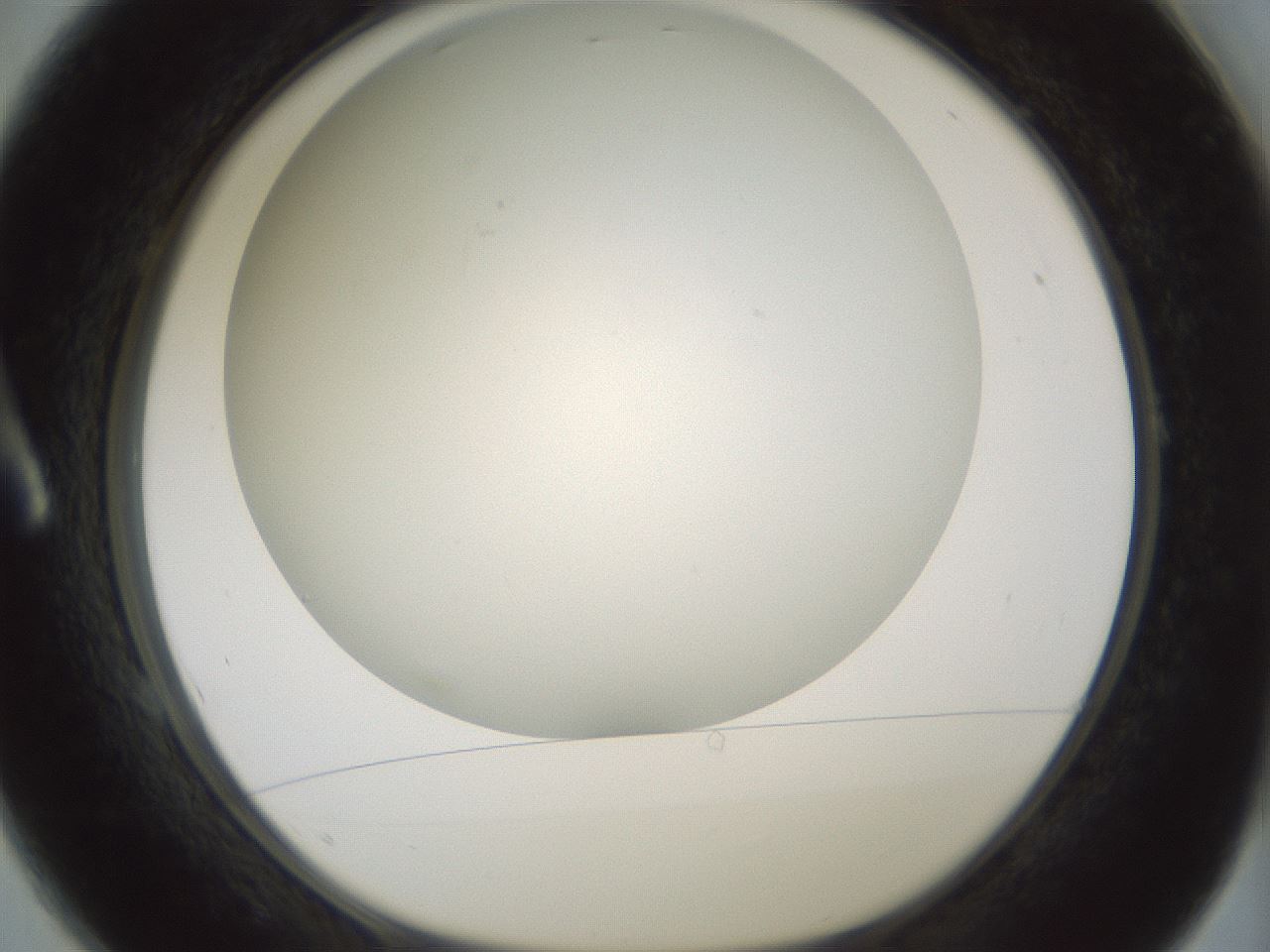 folderID370_plateID1370_batchID4736_wellNum1_profileID1_d1_r83536_ef.jpg