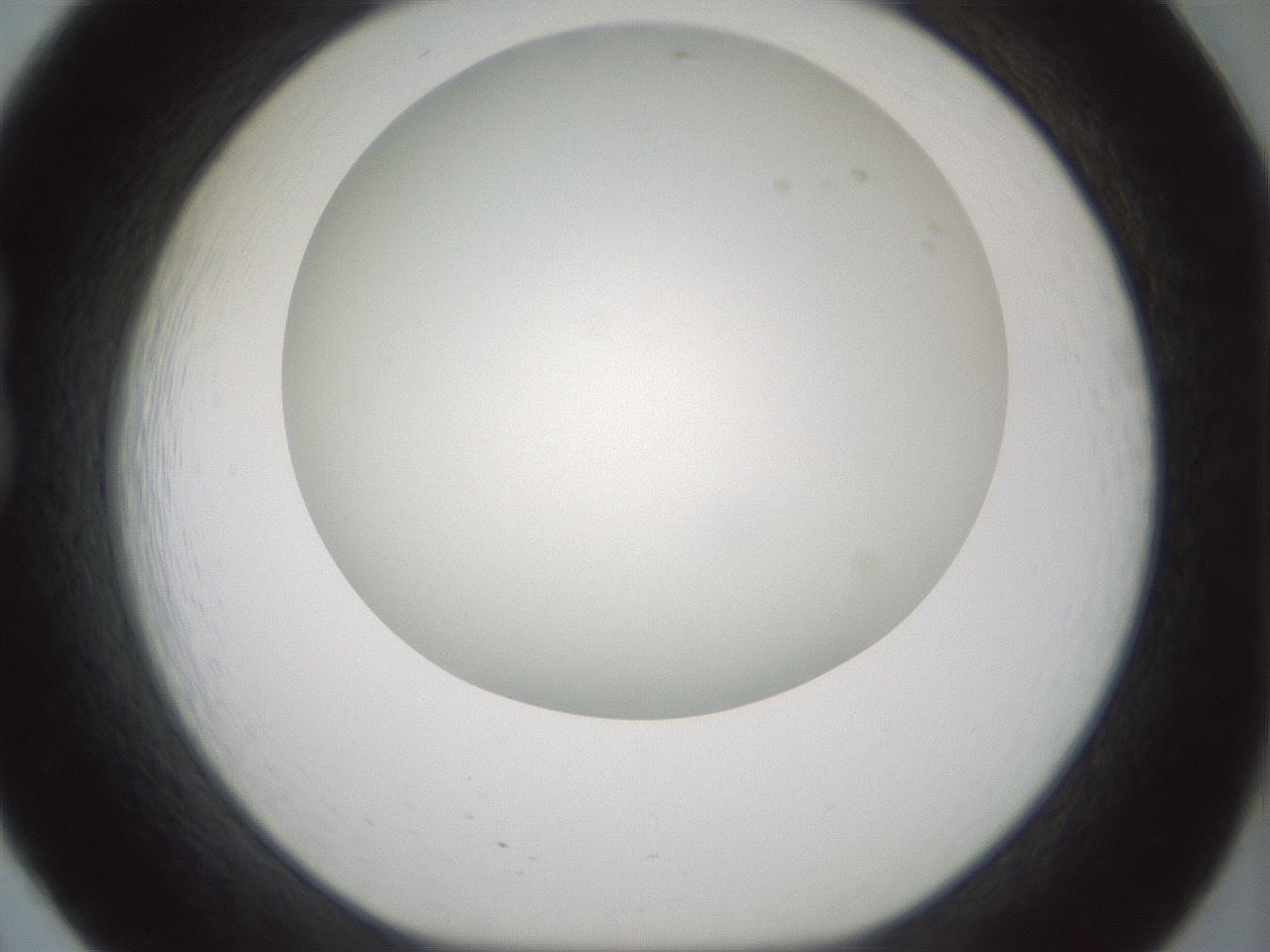 folderID370_plateID1370_batchID4736_wellNum20_profileID1_d1_r83555_ef.jpg