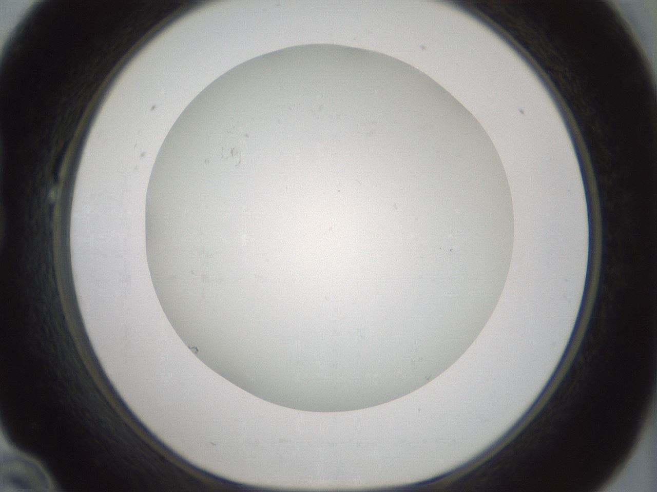 folderID370_plateID1370_batchID4736_wellNum22_profileID1_d1_r83557_ef.jpg
