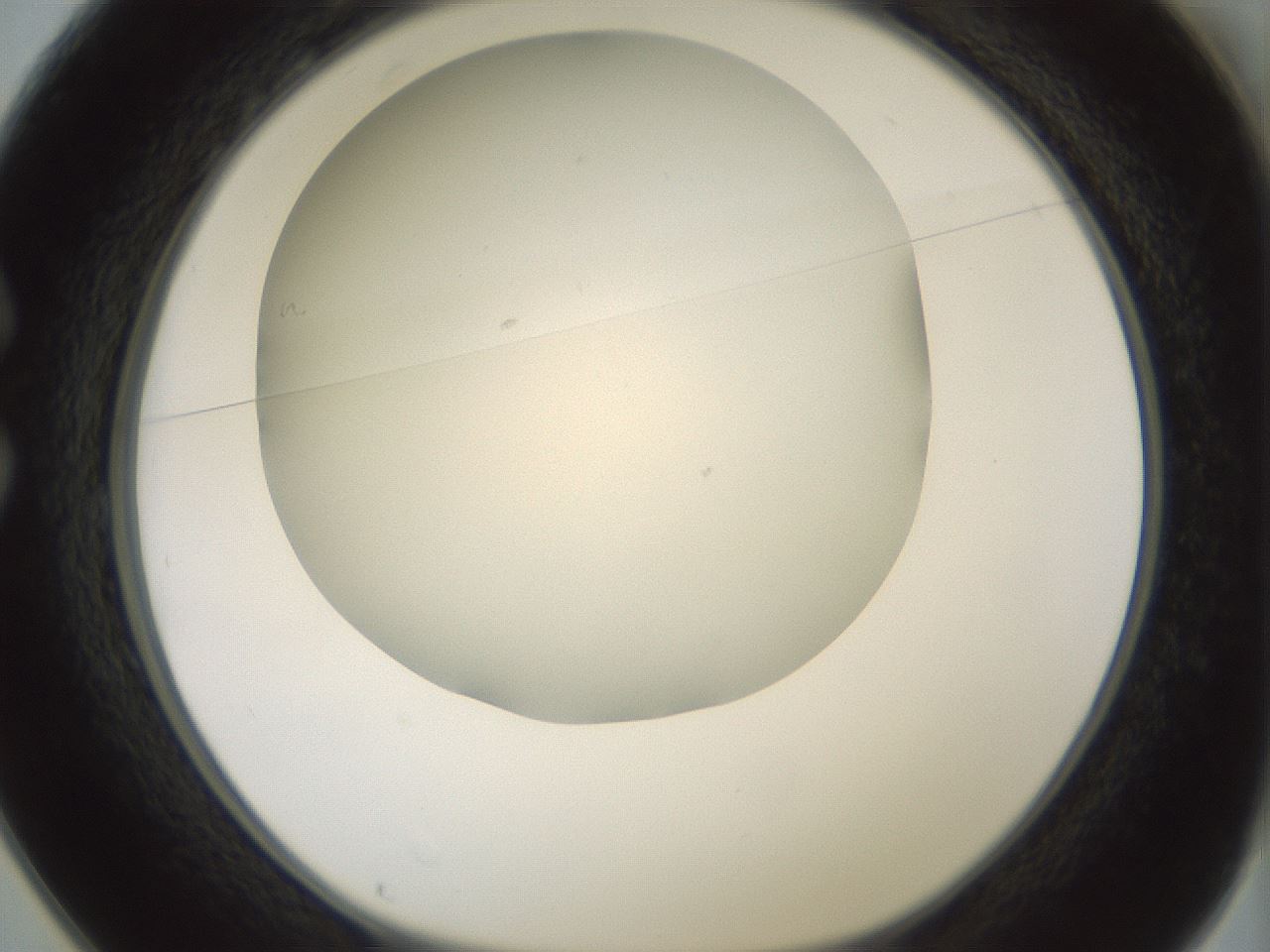 folderID370_plateID1370_batchID4736_wellNum25_profileID1_d1_r83560_ef.jpg