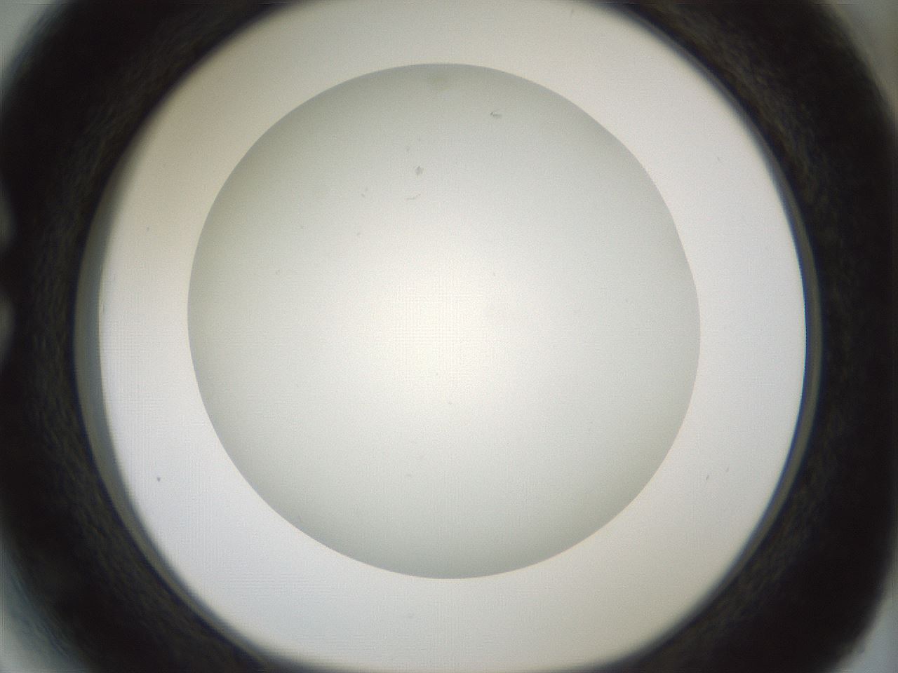 folderID370_plateID1370_batchID4736_wellNum27_profileID1_d1_r83562_ef.jpg