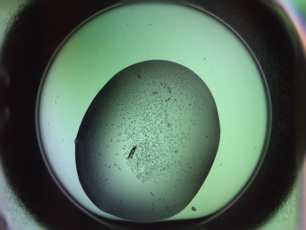 02kl_C8_ImagerDefaults_9.jpg