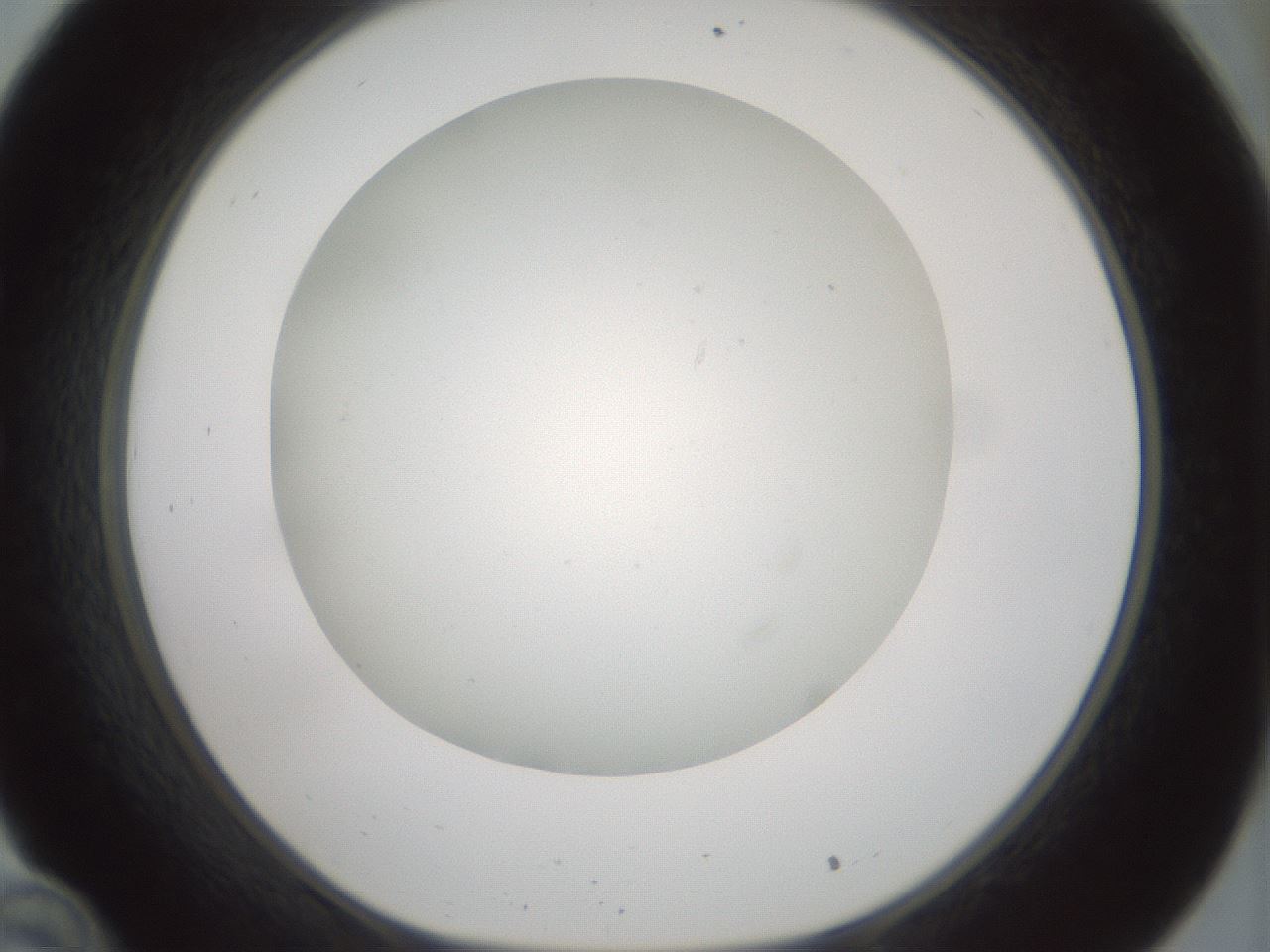 folderID370_plateID1370_batchID4736_wellNum34_profileID1_d1_r83569_ef.jpg