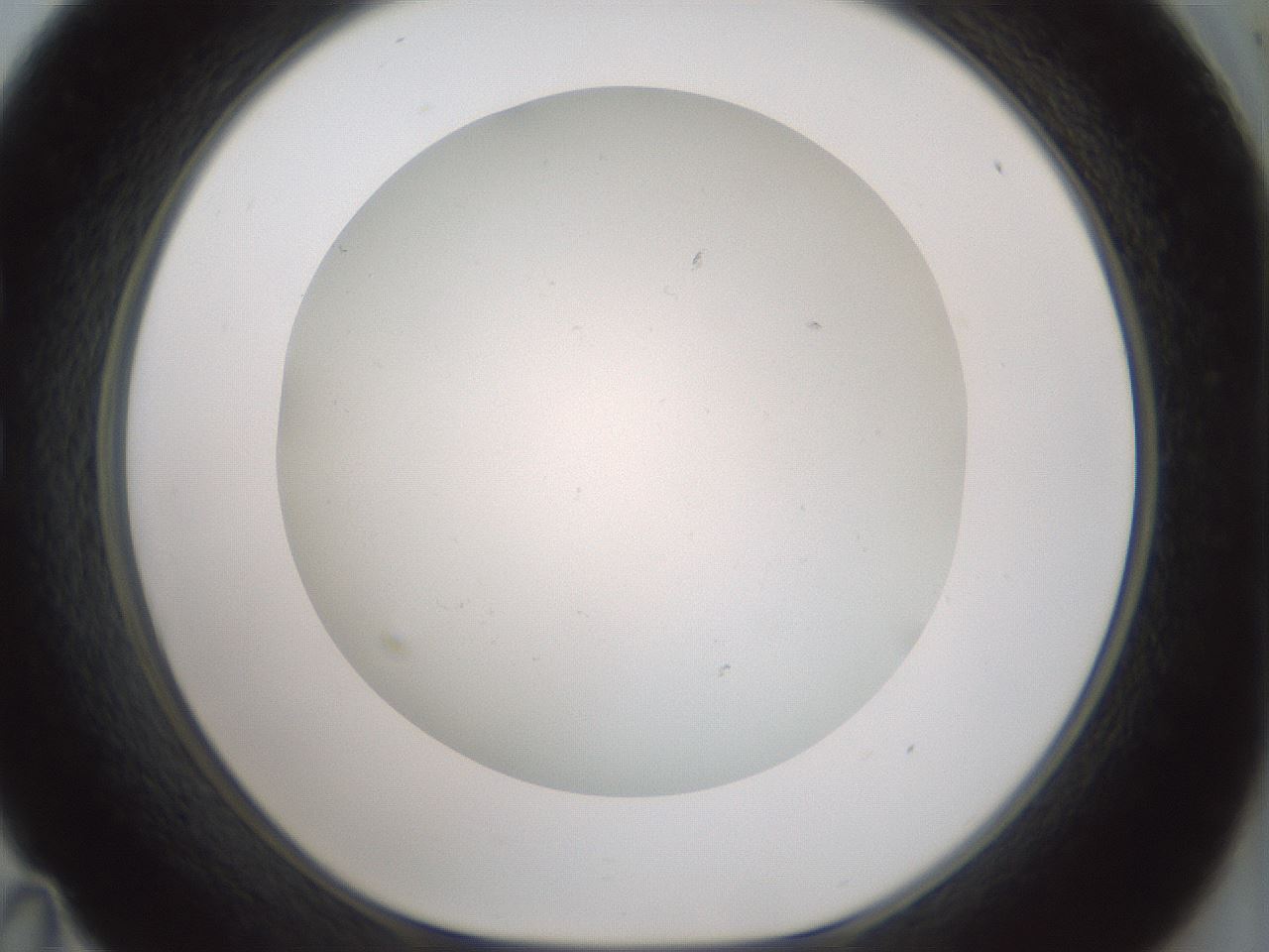 folderID370_plateID1370_batchID4736_wellNum35_profileID1_d1_r83570_ef.jpg